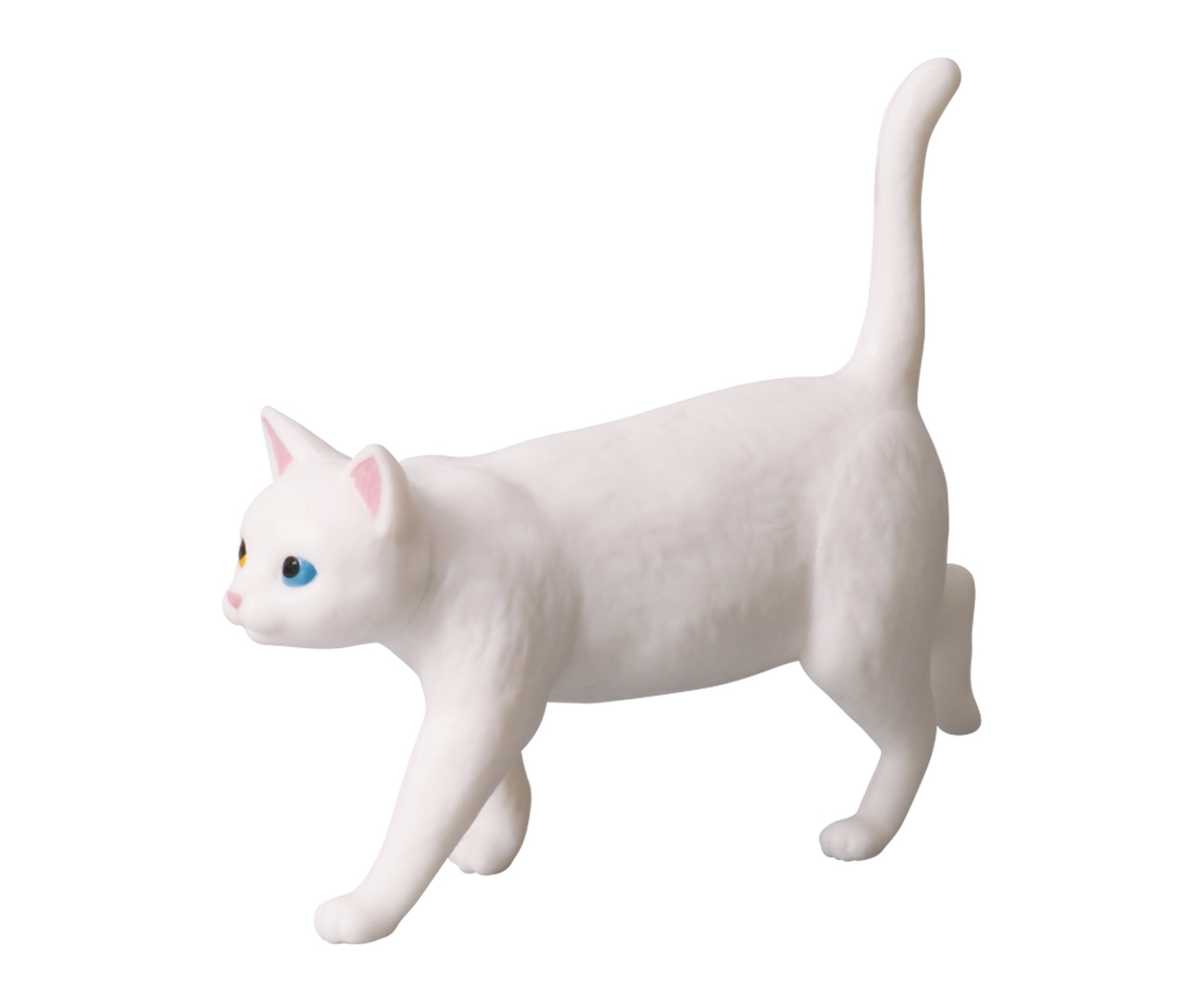 シロ（オッドアイ）＆側溝蓋