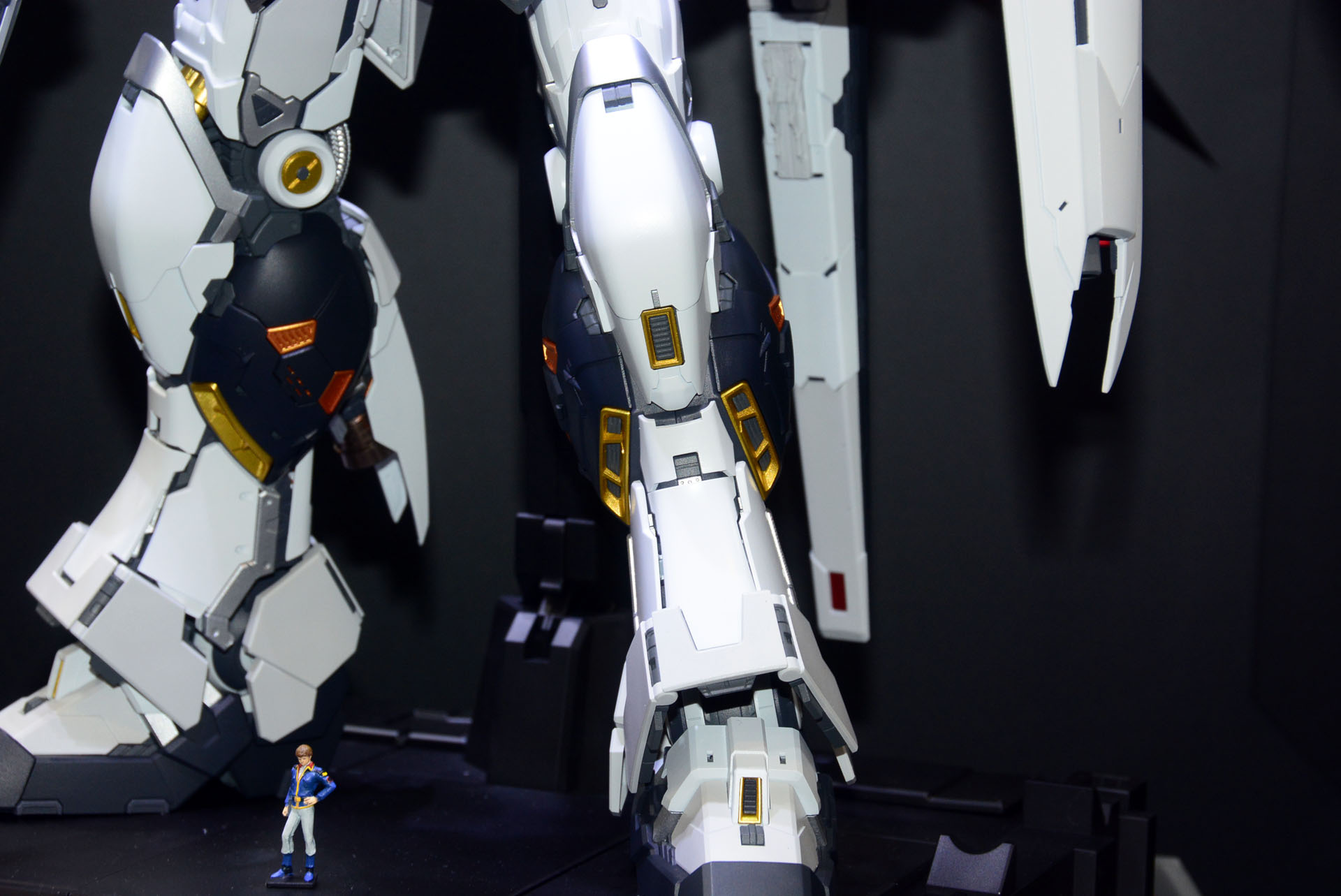 装甲の間からのぞくフレームなど、作りごたえがありそうだ