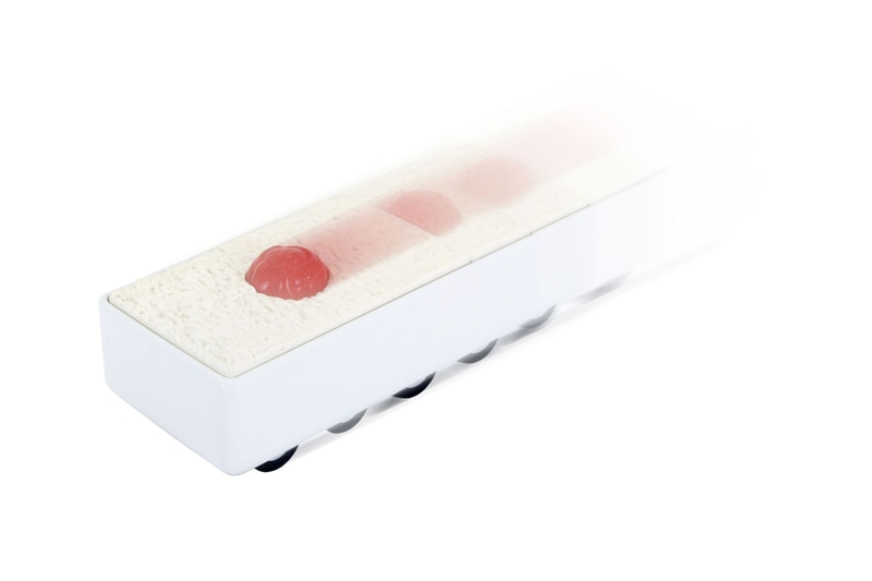 「HINOMARU」（イメージ）