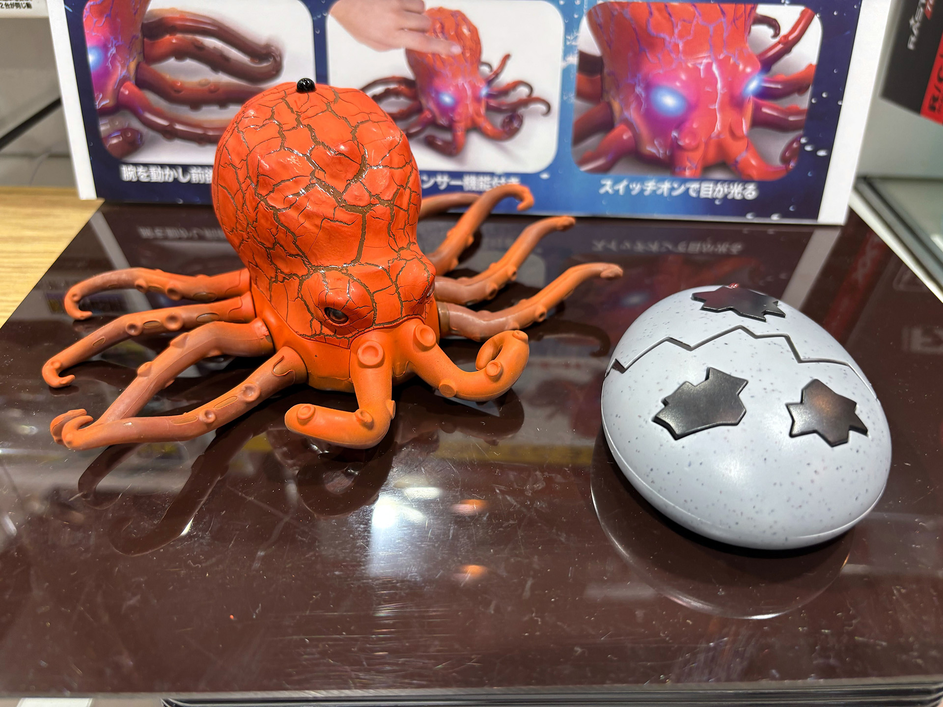 「オクトパス」価格：4,048円