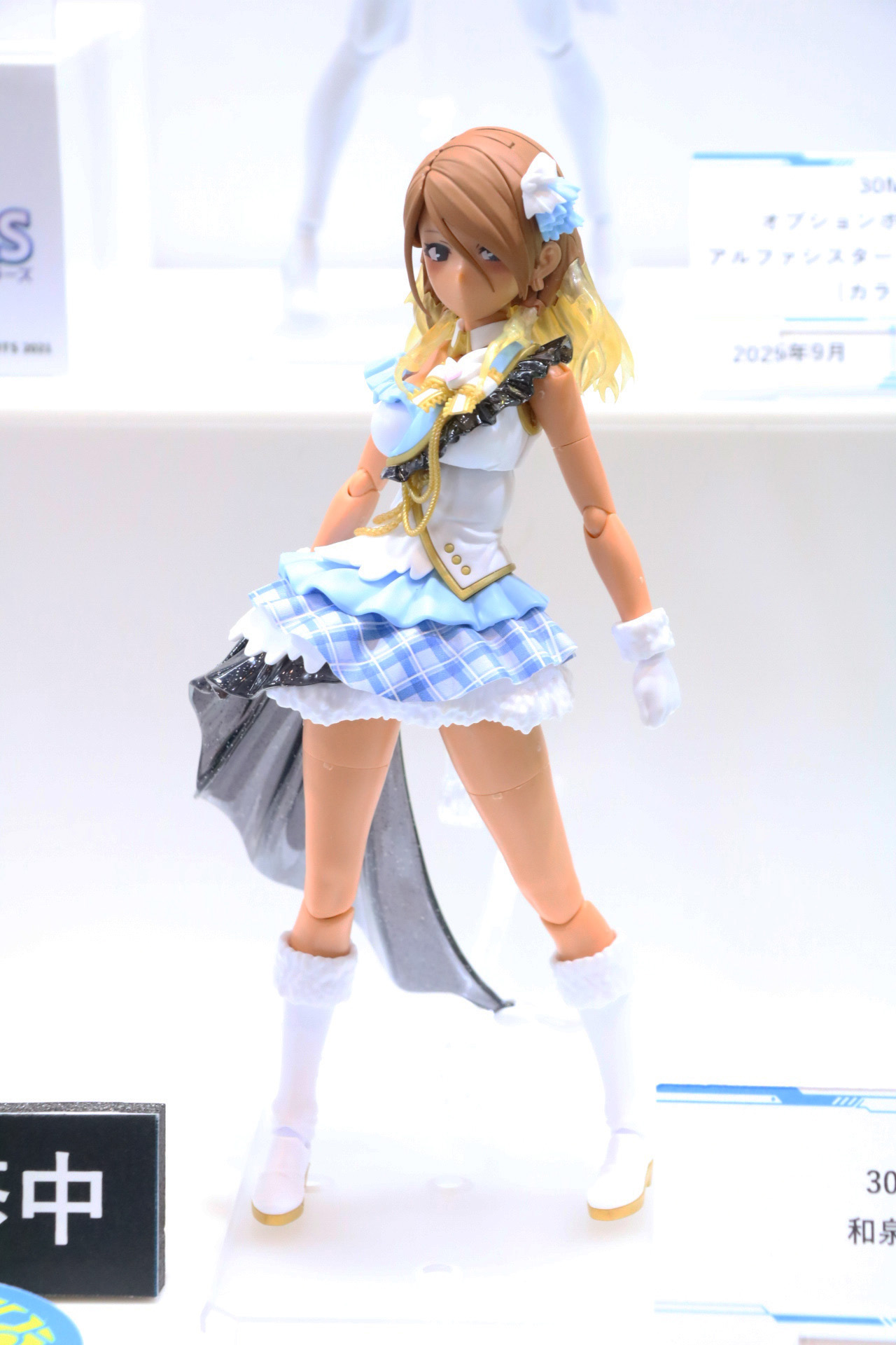 「30MS 和泉愛依」 9月発売予定 価格：4,180円