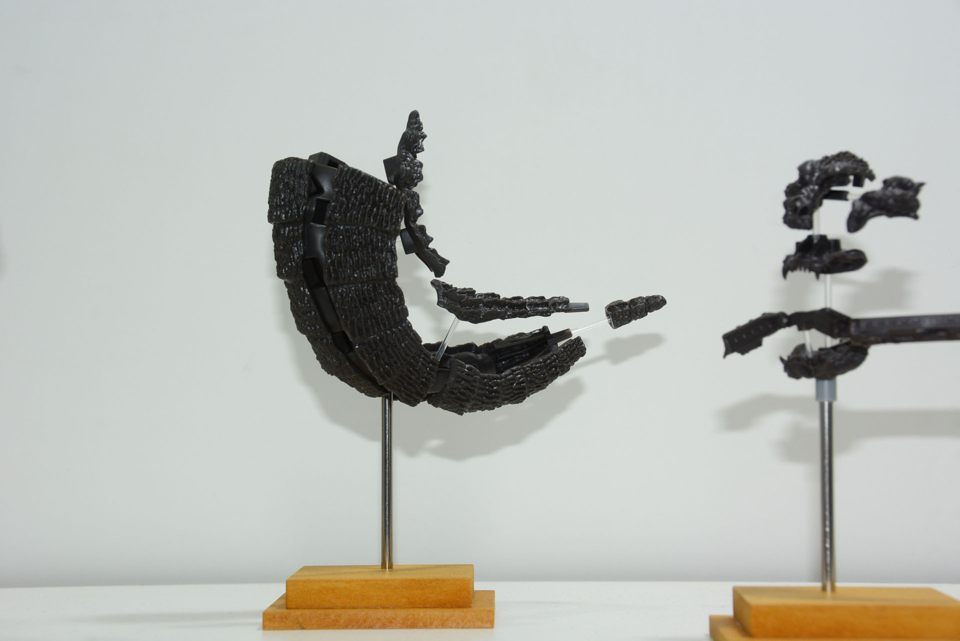 中心部に体表を貼り付け、徐々にゴジラが形成されていく楽しさ