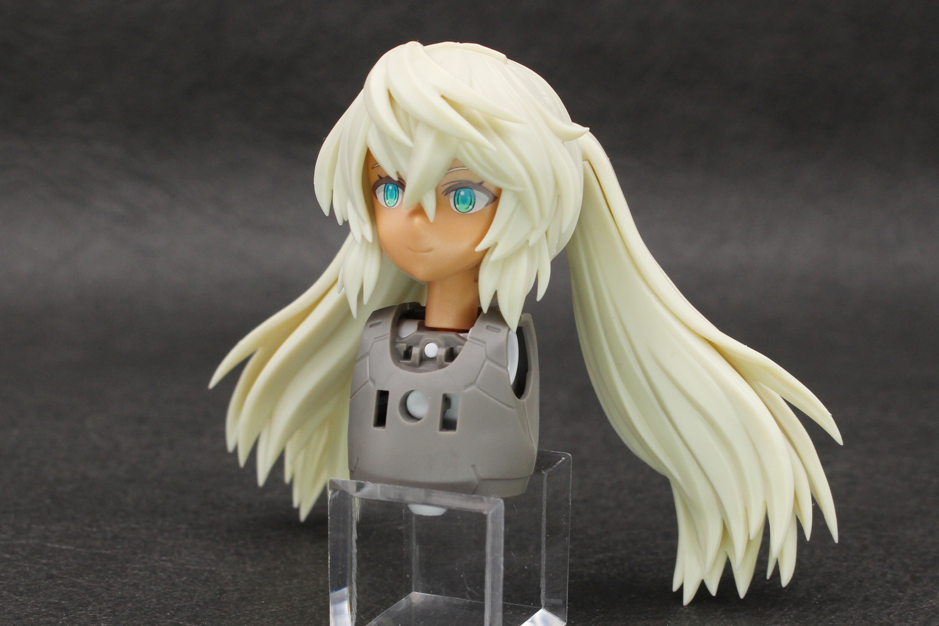 それぞれを組み付けて、頭頂部にスペーサーをはめ込んで頭部が完成。なおこの胸部は撮影のために仮に組んだもの