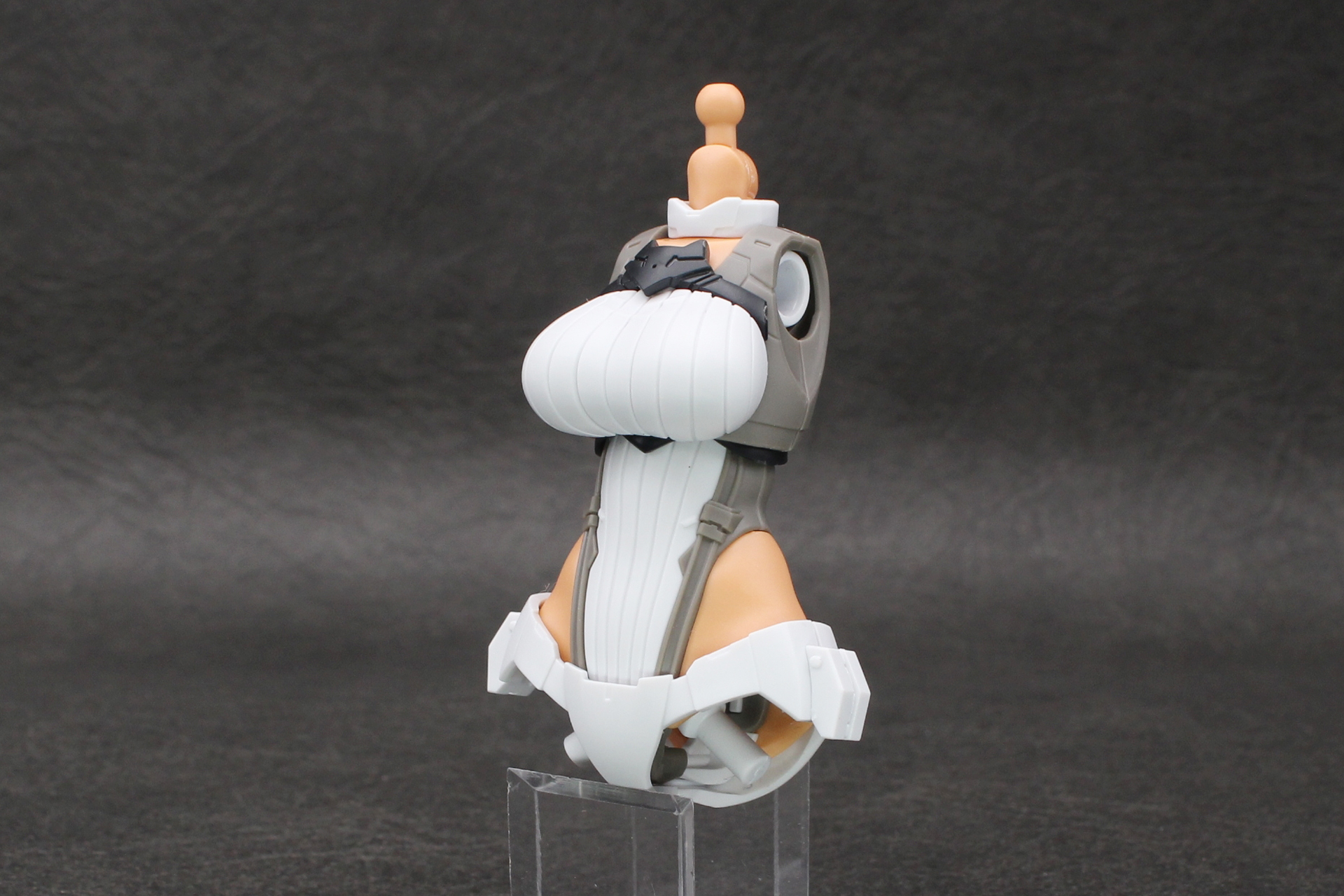 胸部と腹部を取り付けて胴体が完成