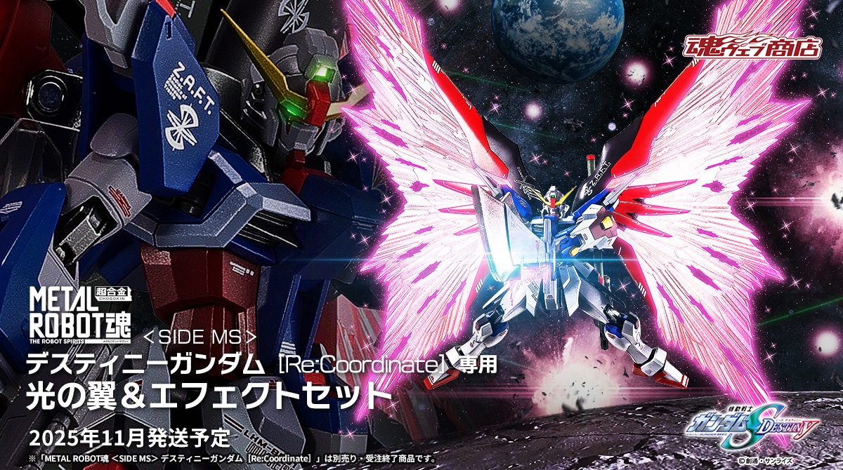 「METAL ROBOT魂 ＜SIDE MS＞ デスティニーガンダム ［Re:Coordinate］専用 光の翼＆エフェクトセット」