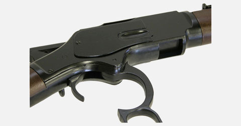 ハシゴ形サイト