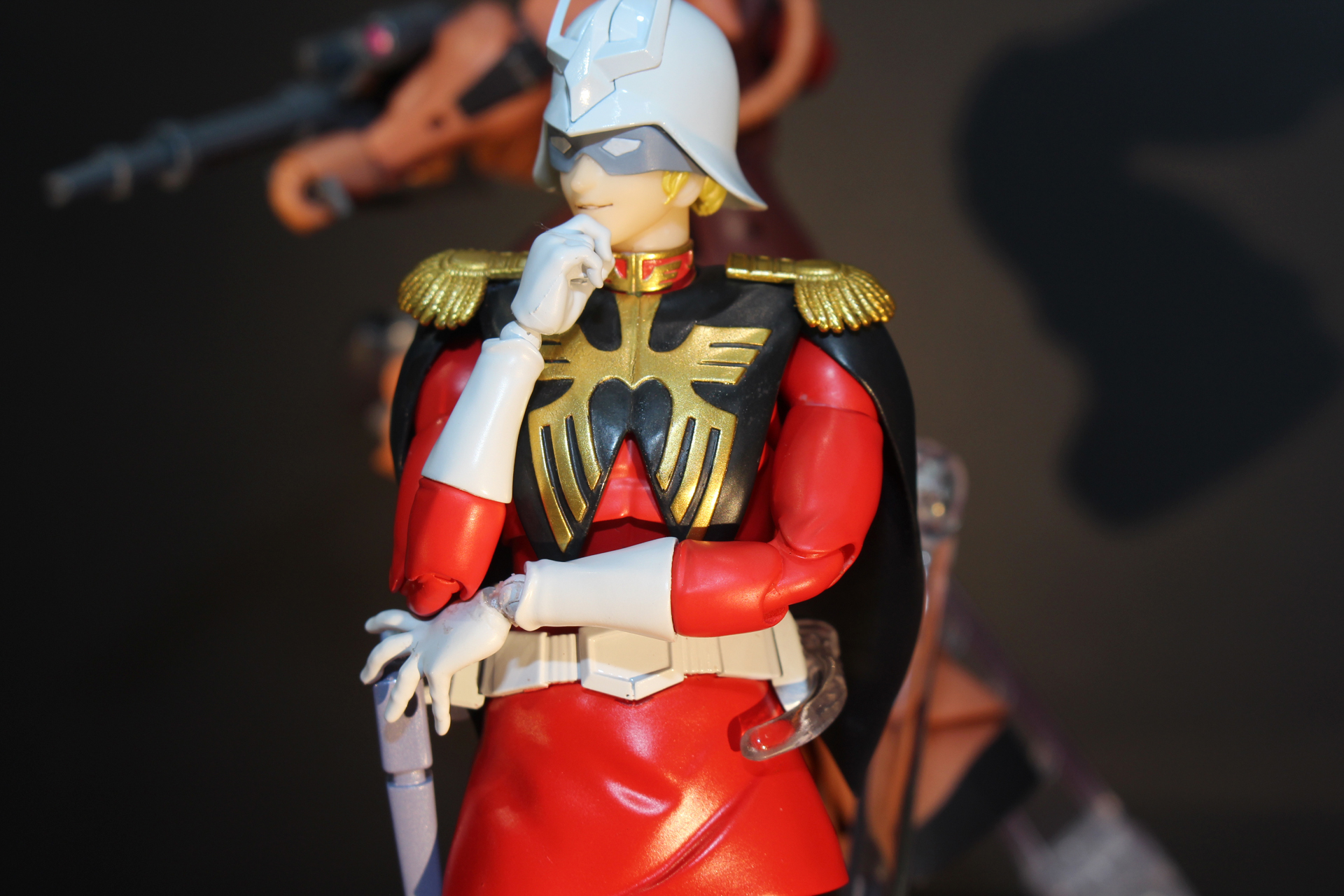 士官服のゴールドの飾りも映えている