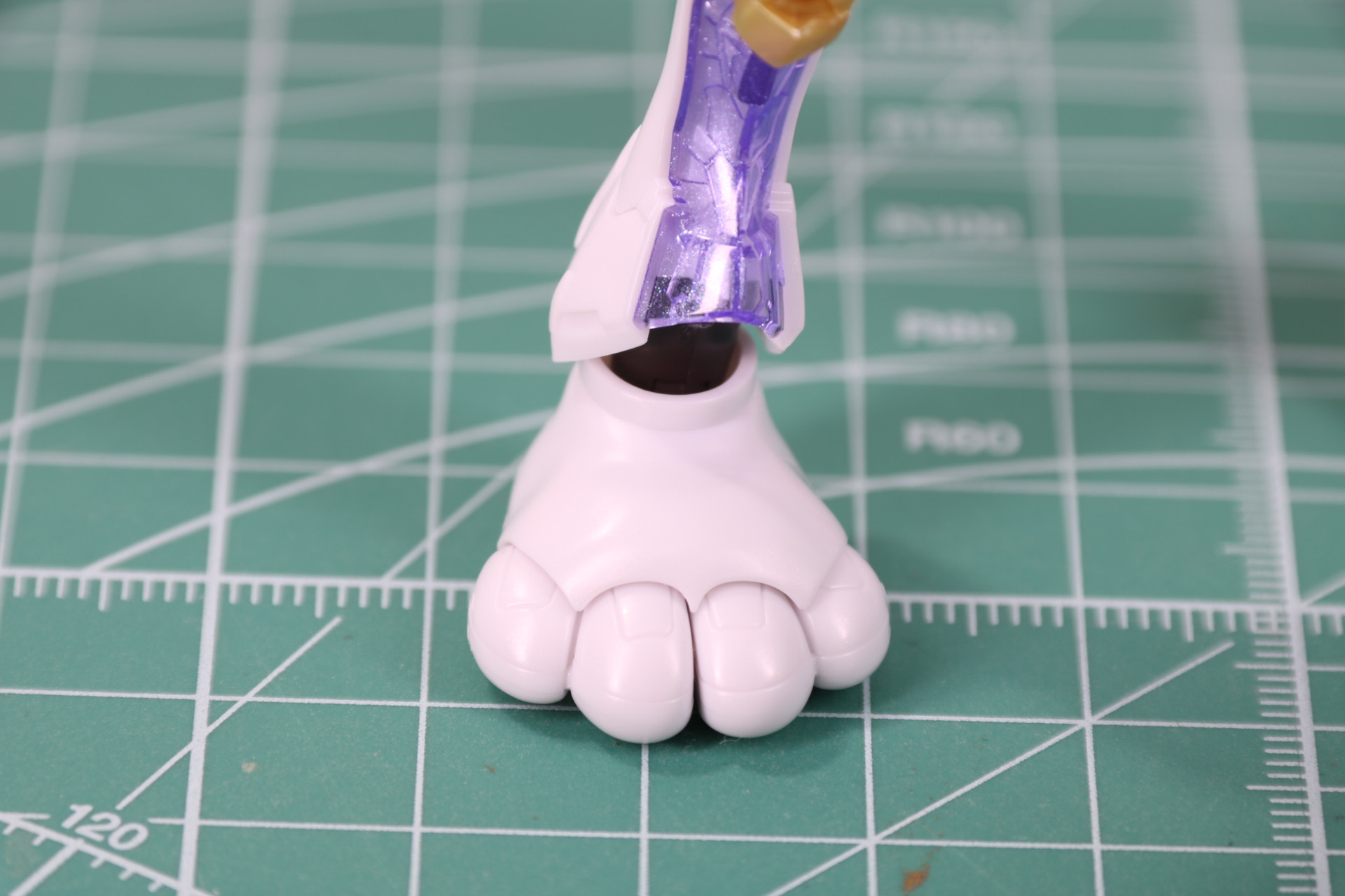 キャットフット