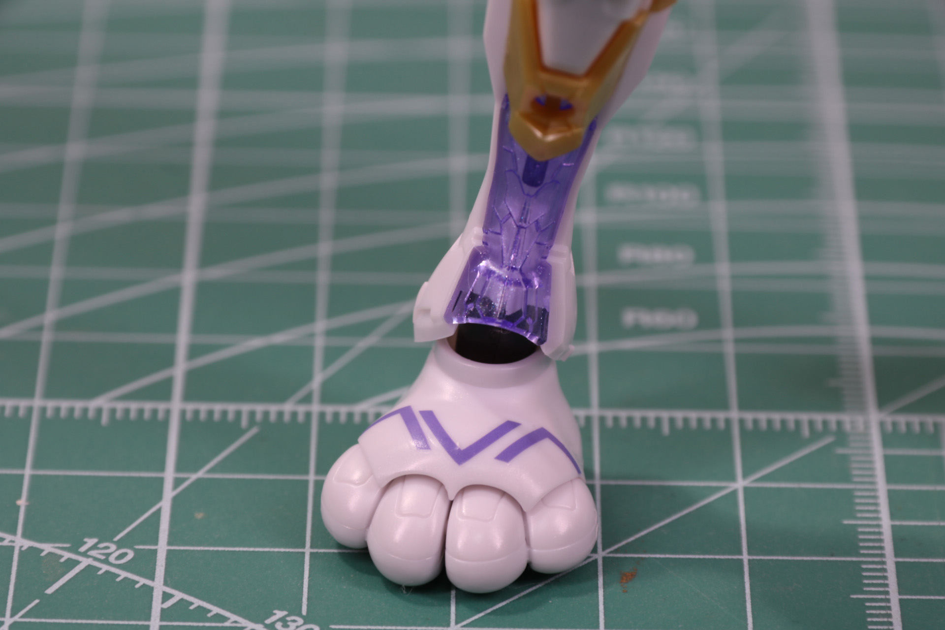 キャットフット