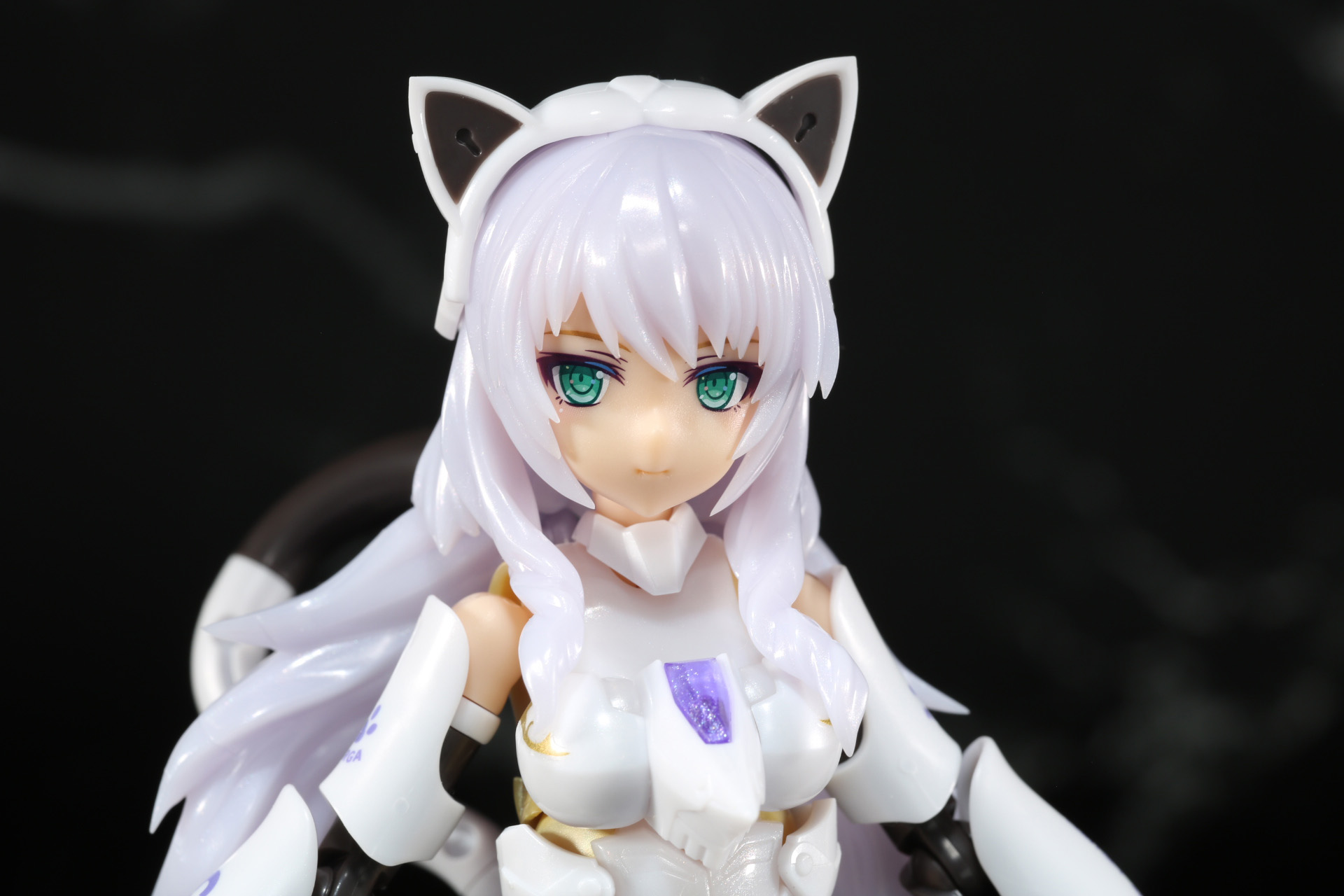 バストアップ。頭部にはネコミミパーツを装着