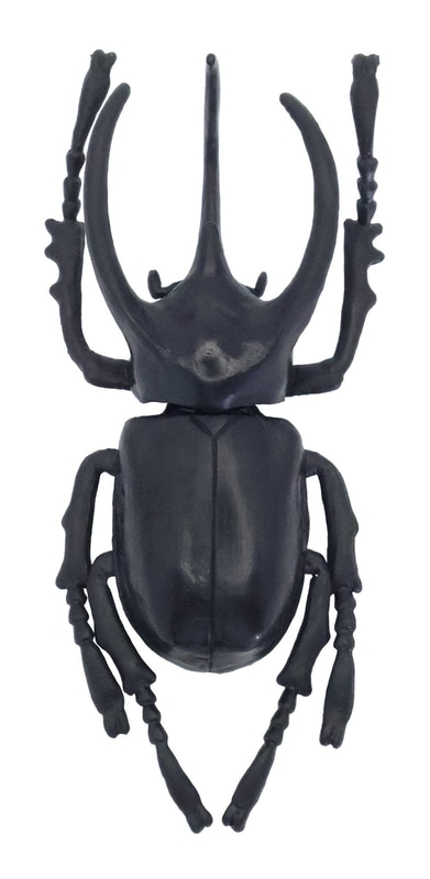 大虫「アトラスオオカブト（黒）」