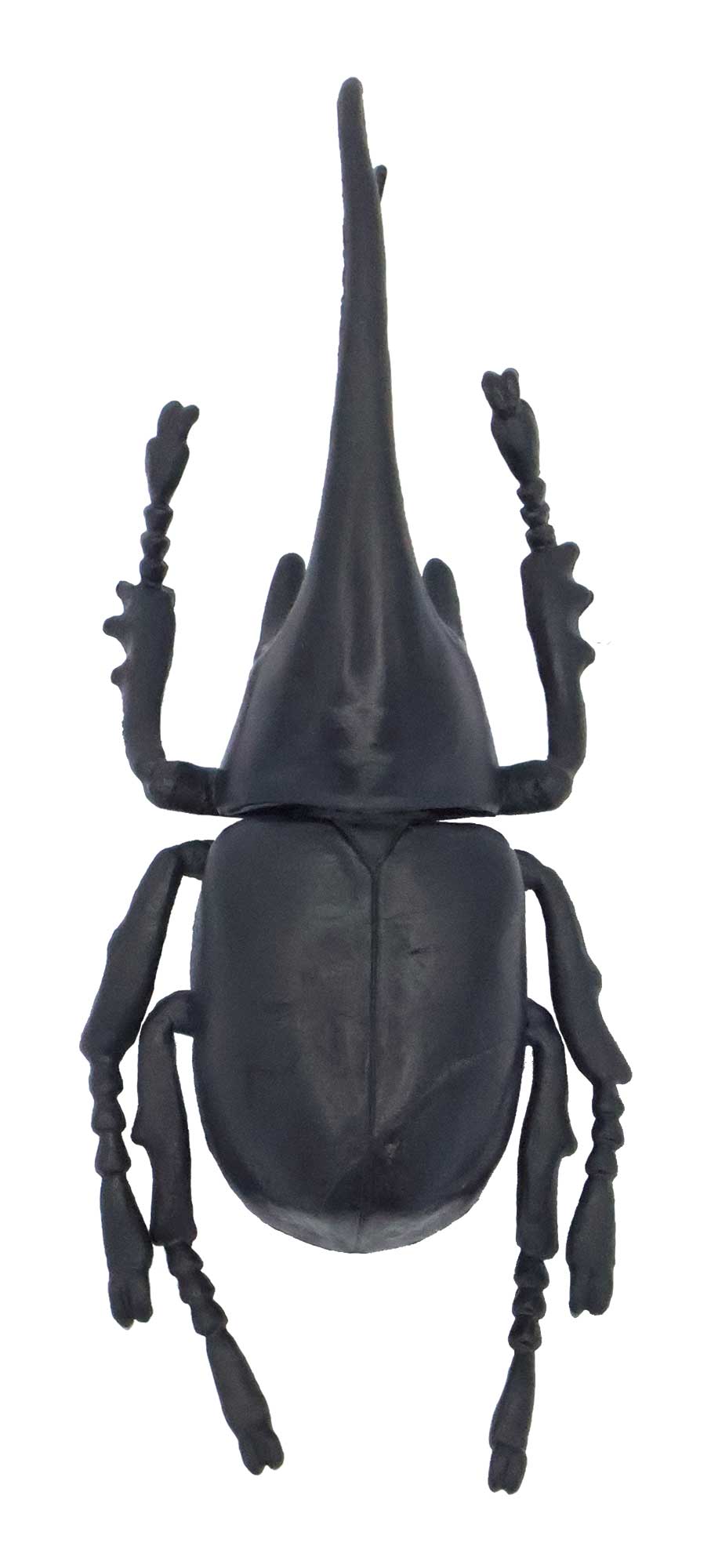 「ネプチューンオオカブト（黒）」