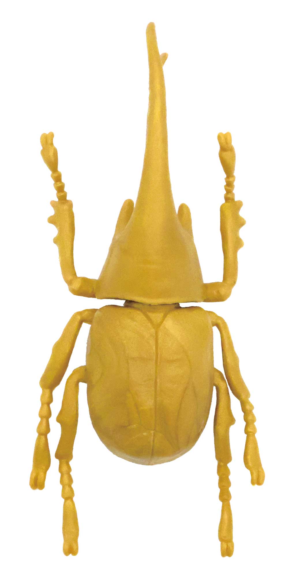 「ネプチューンオオカブト（金）」