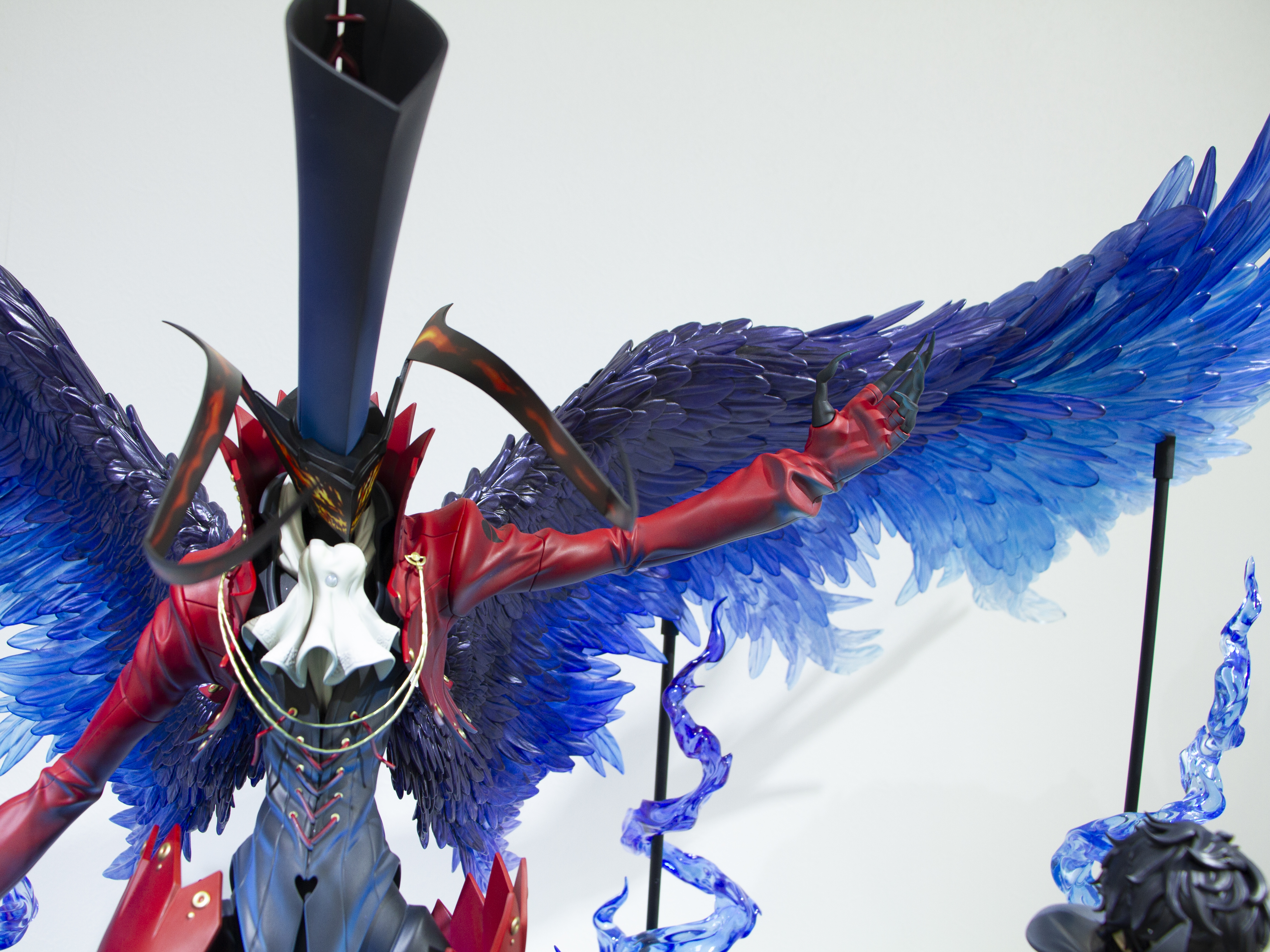 翼の青は深いグラデーションがあり、ジャケットにも青の照り返しが見られる