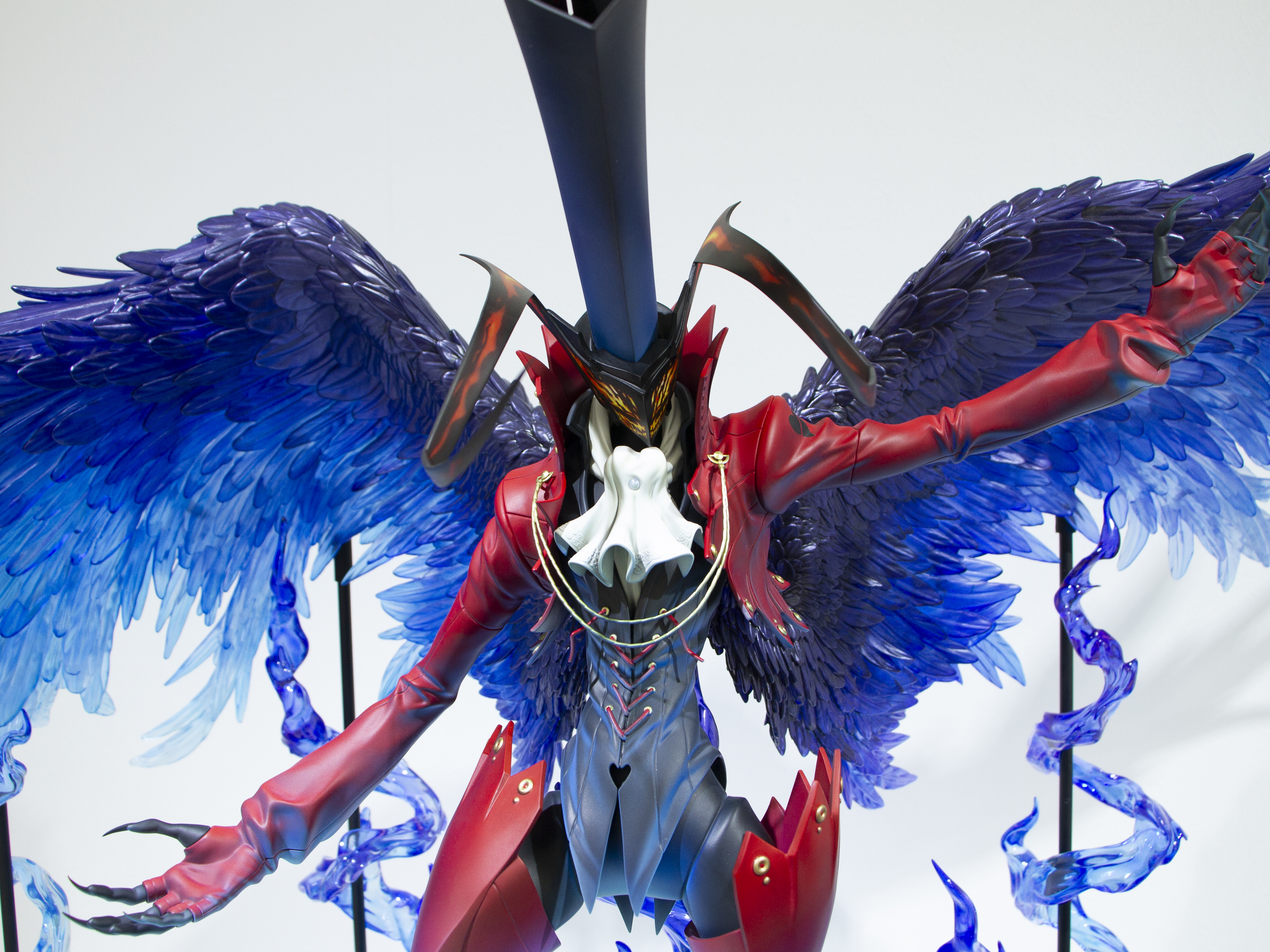 翼の青は深いグラデーションがあり、ジャケットにも青の照り返しが見られる