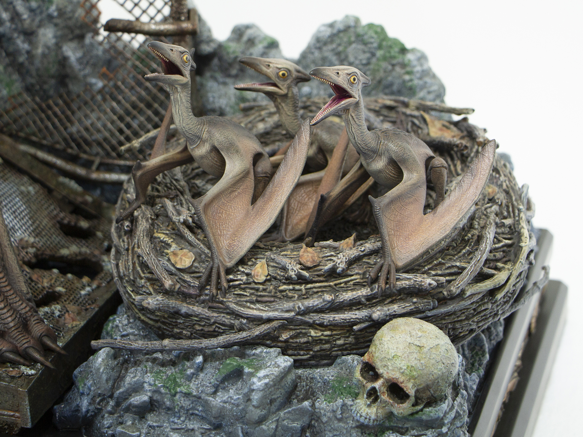 子供のプテラノドンも再現