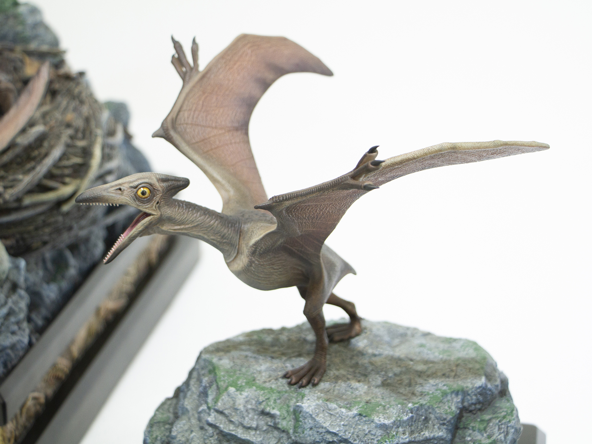 最上位版に付属するプテラノドン