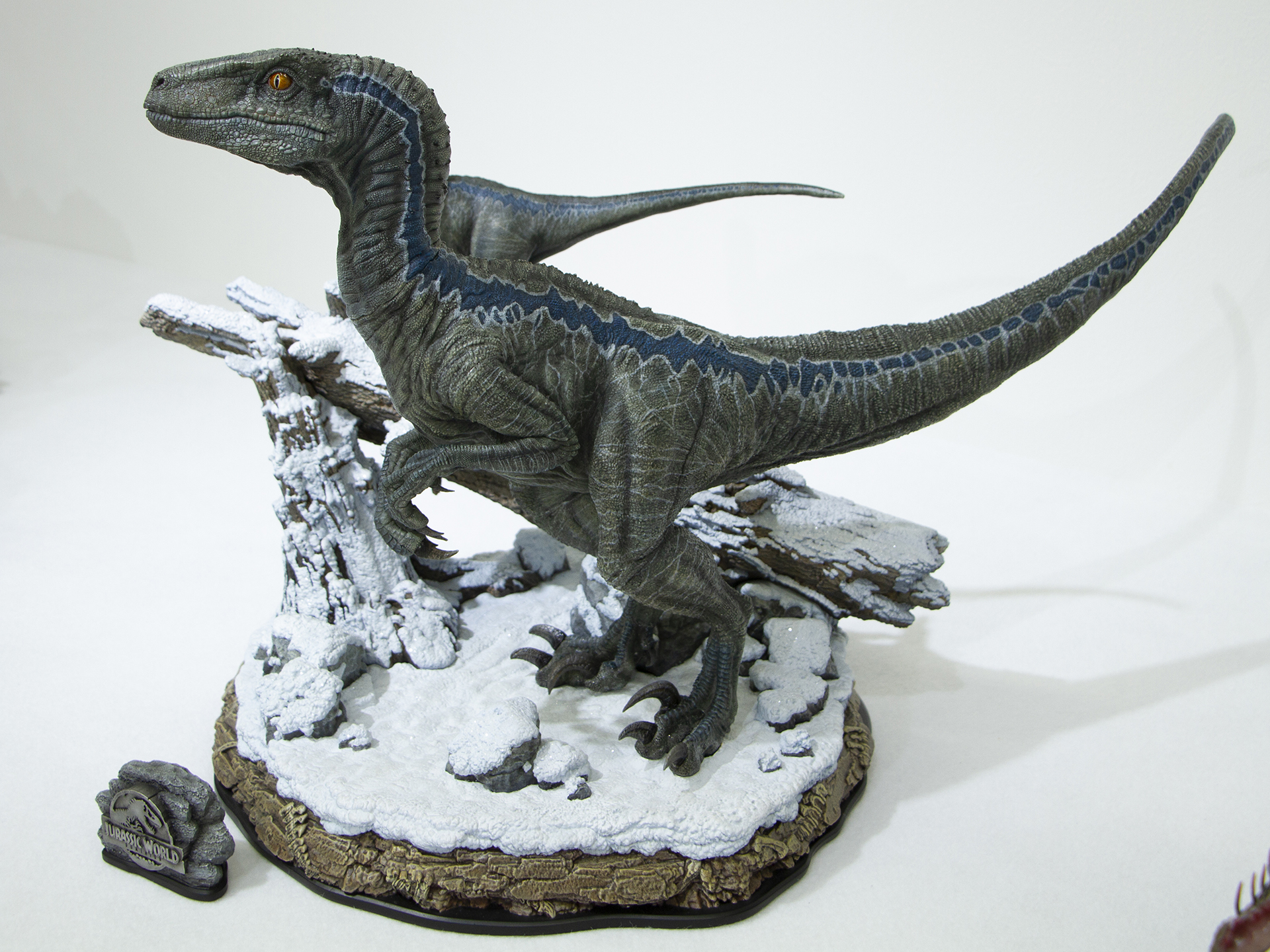 ブルー＆ベータも展示（発売済み）