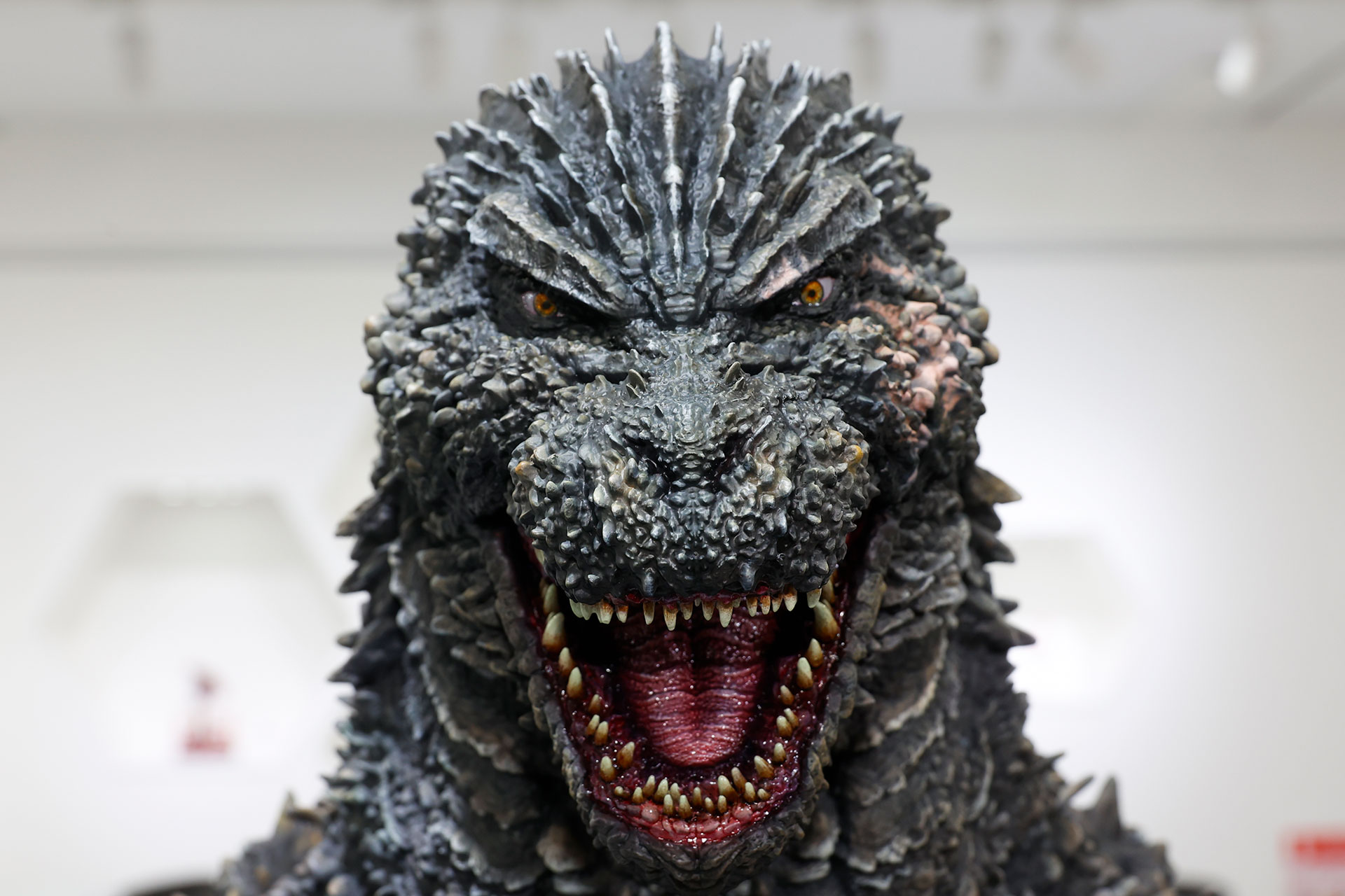 左右で皮膚の色が異なっているのがわかる