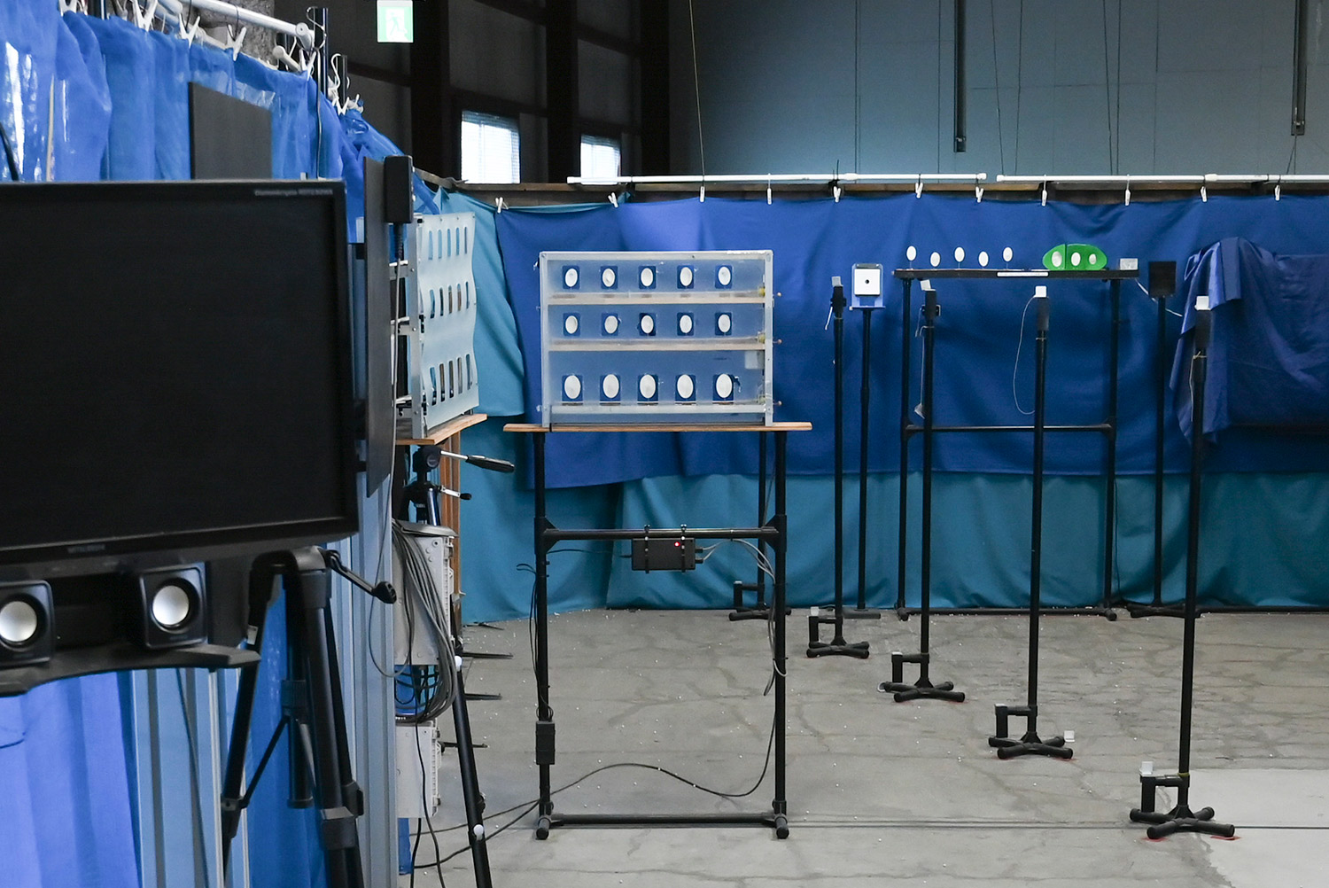 半透明のカバーに囲まれている白い楕円形のものがターゲット