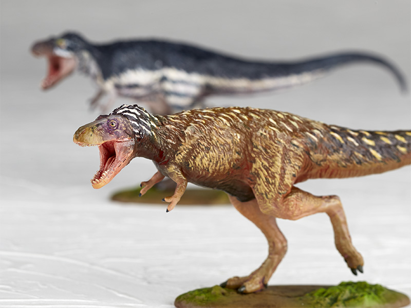 ARTPLAティラノサウルス（幼体）組立塗装体験