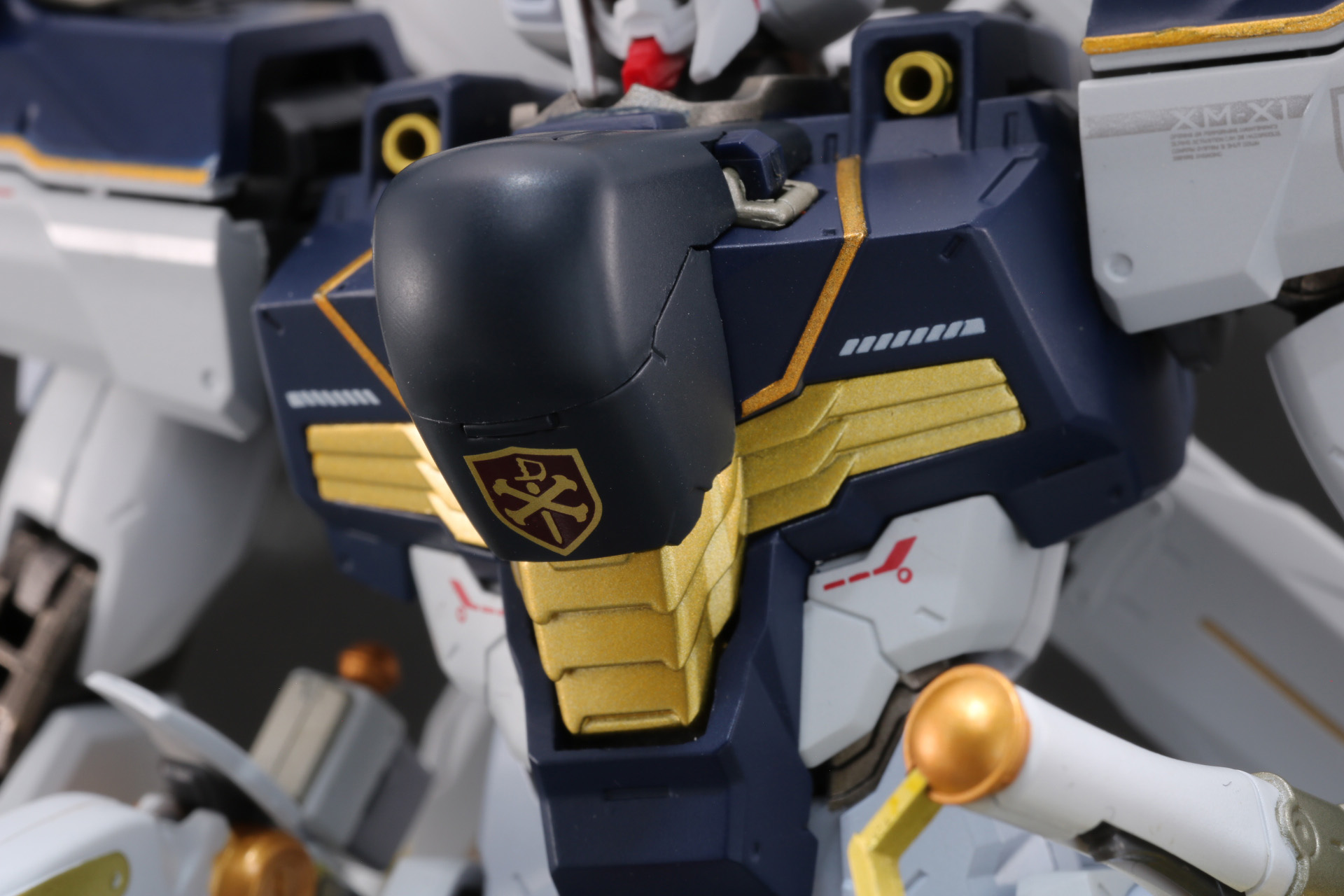 初期の「クロスボーン・ガンダムX1」を物語るクロスボーン・バンガードの紋章