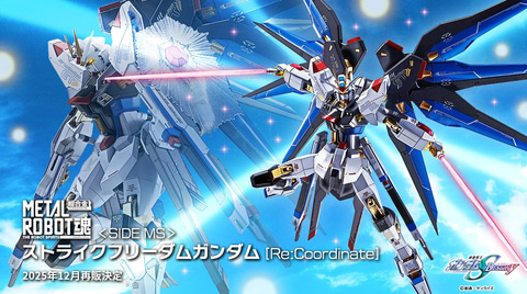 可動フィギュア「METAL ROBOT魂 ストライクフリーダムガンダム