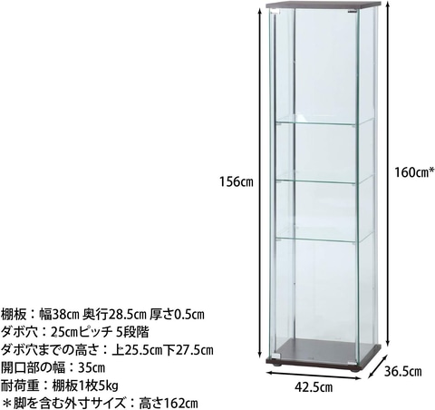 Amazonプライムデー】不二貿易のコレクションケースが登場