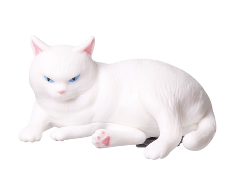 こう「見つめる先に…トイプードル」「こちらを向いて…白キジ猫」 立ち耳スコティッシュ/避」栃木県 - 猫の里親募集(437004