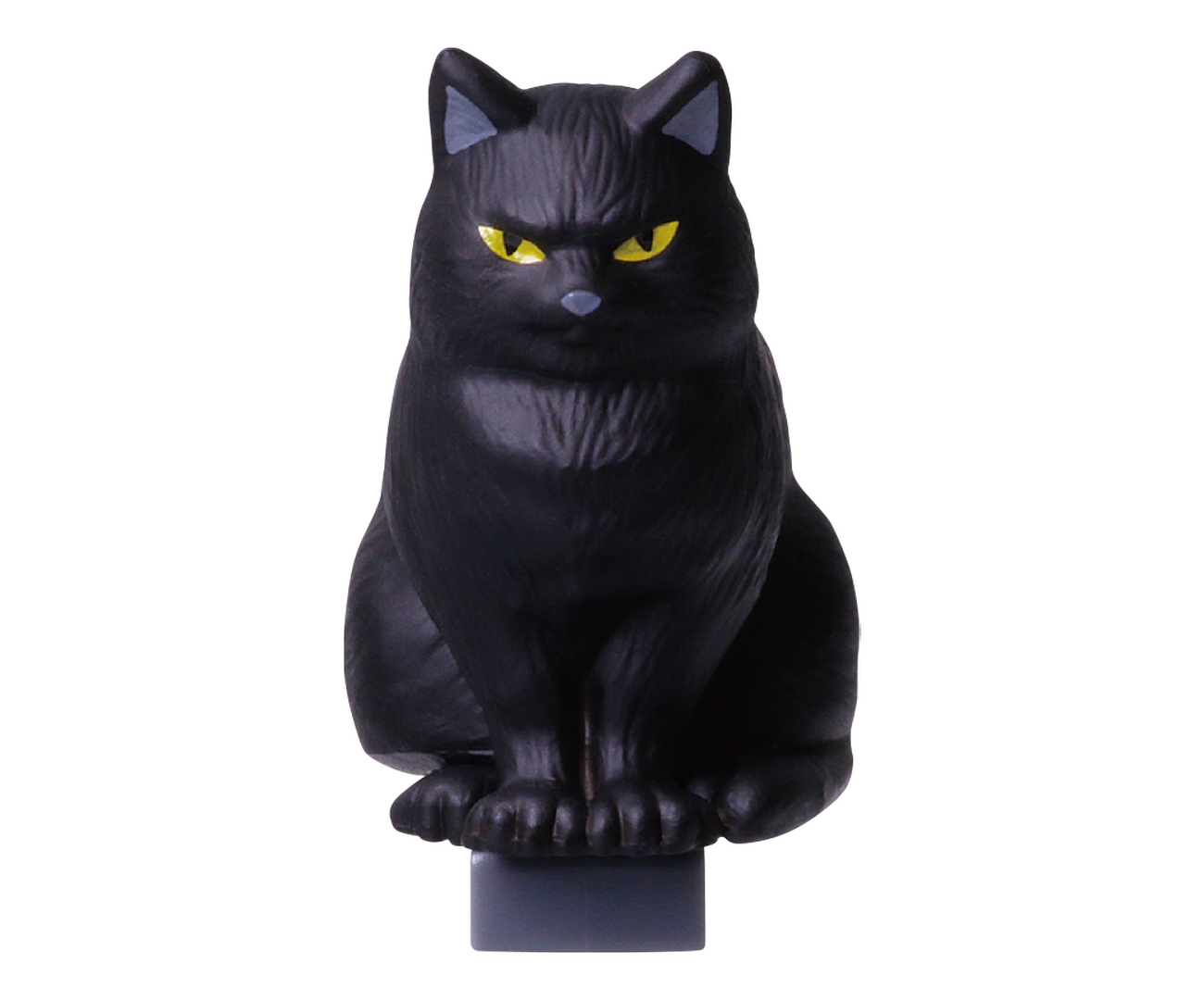 黒猫のコタロウ