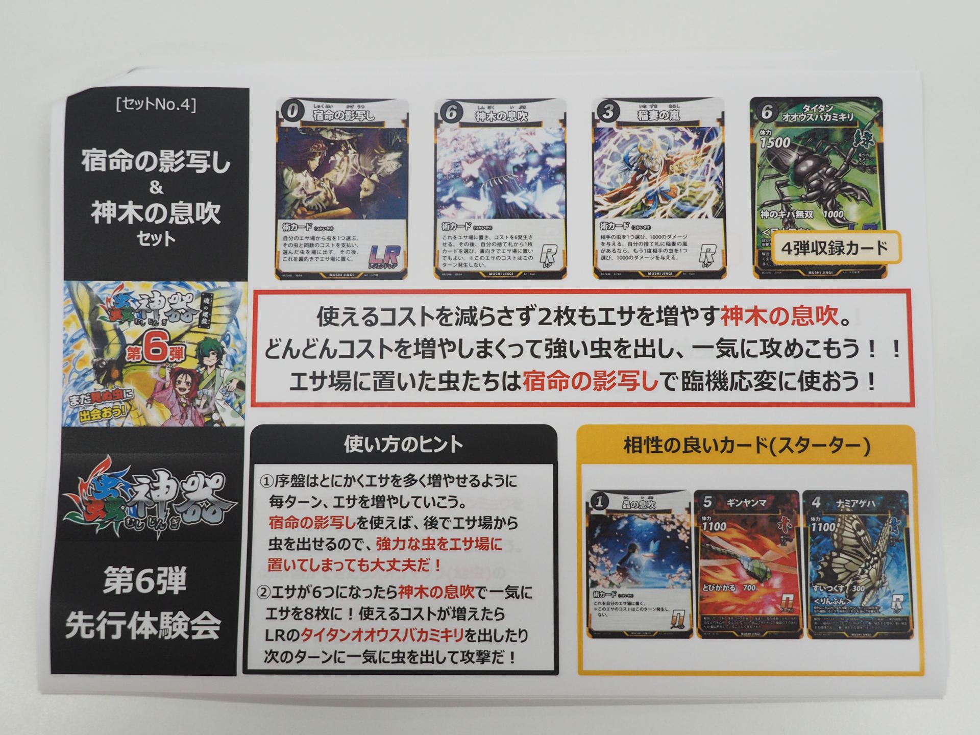 「宿命の影写し＆神木の息吹」セットの解説書