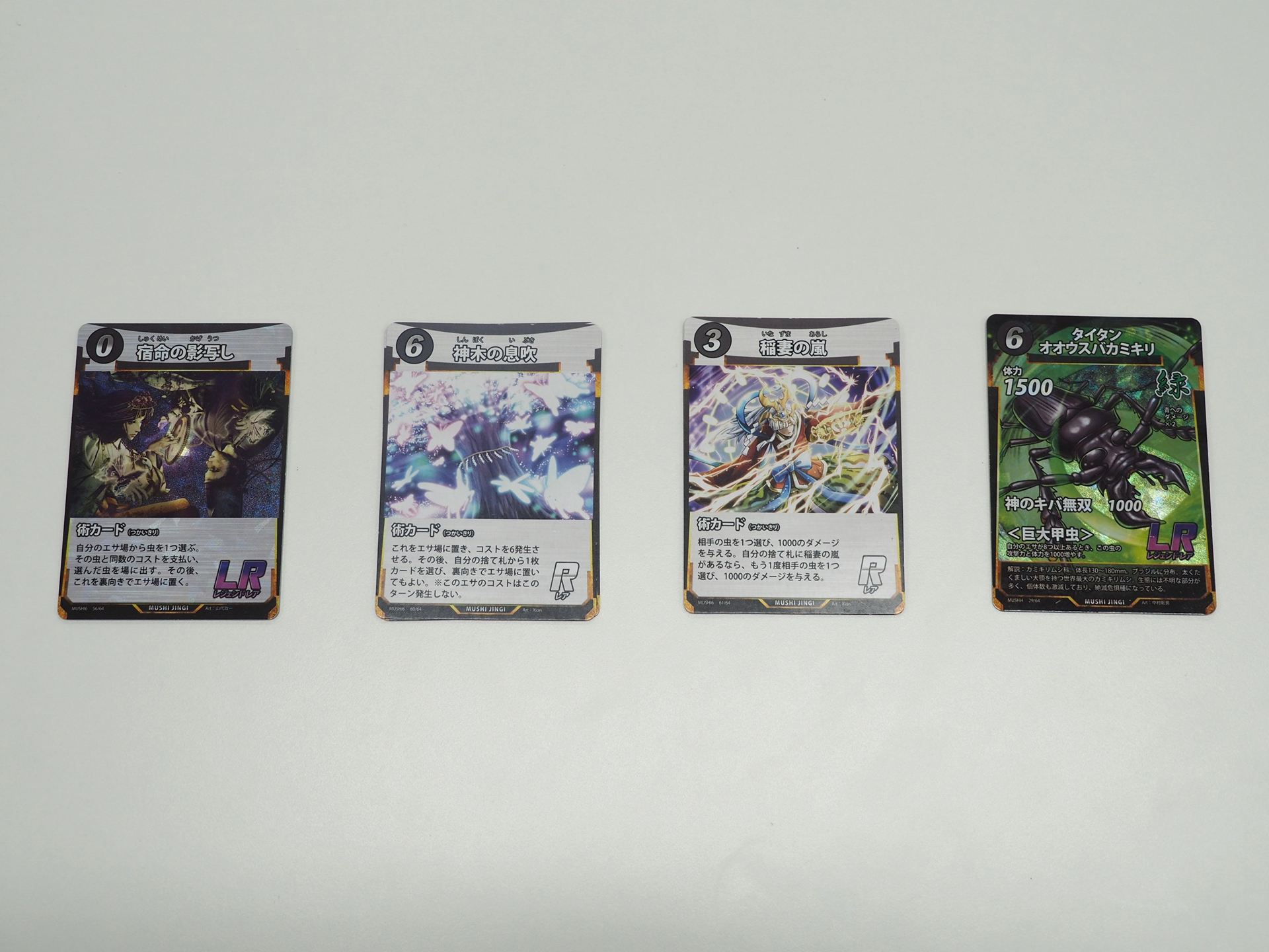 LR術カード「宿命の影写し」を中心とする「宿命の影写し＆神木の息吹」セット（実際は同じカードが2枚ずつ合計8枚のセットになっている）