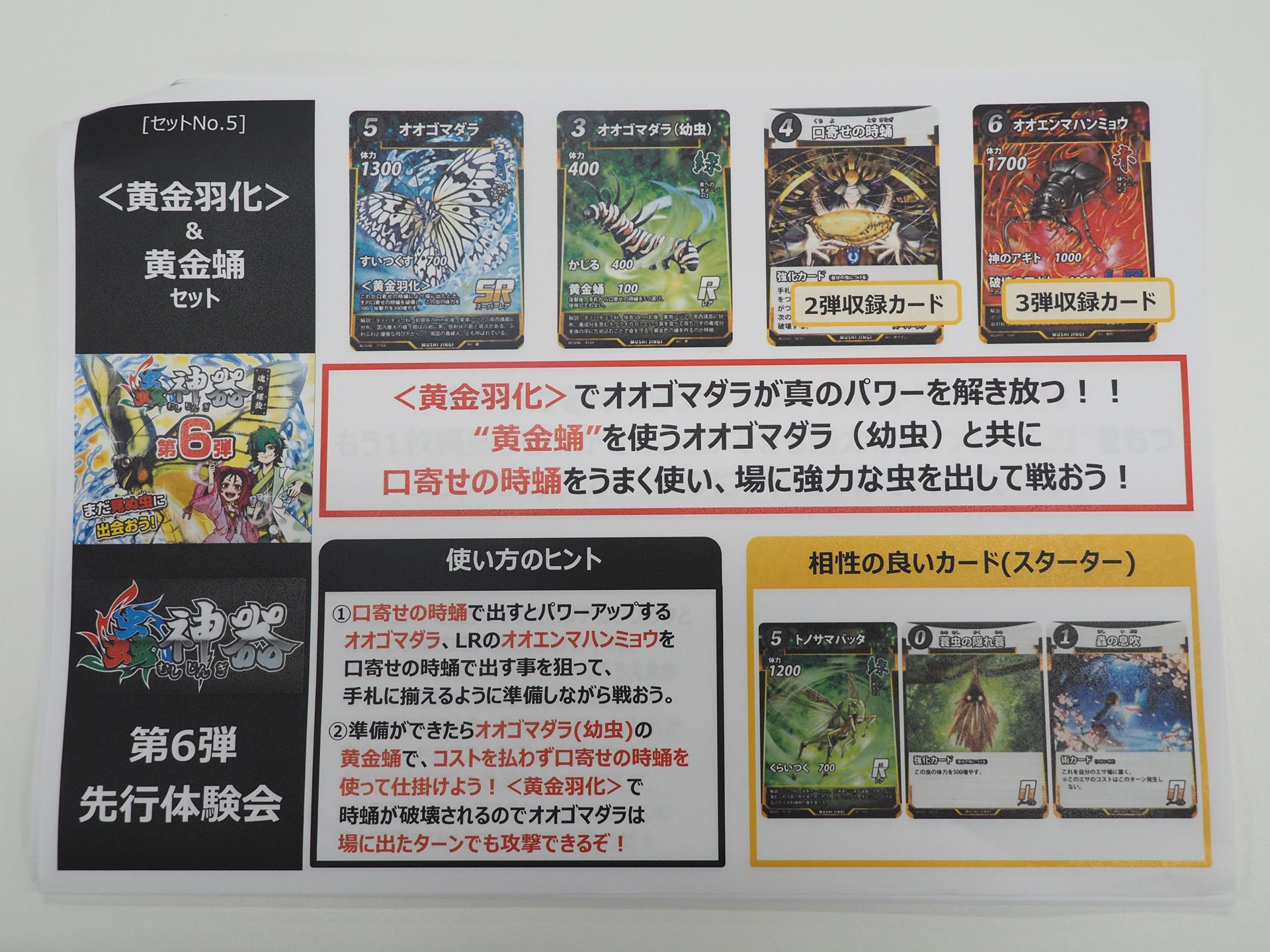 「＜黄金羽化＞＆黄金蛹」セットの解説書