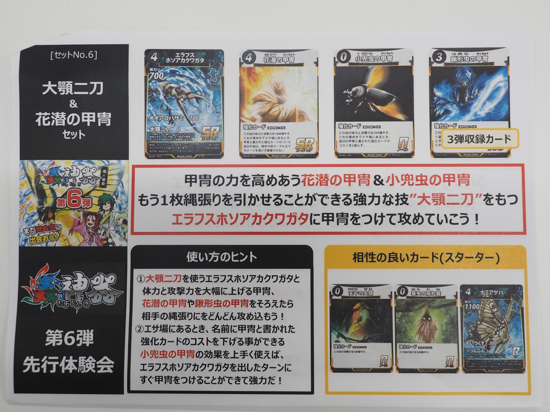 「大顎二刀＆花潜の甲冑」セットの解説書