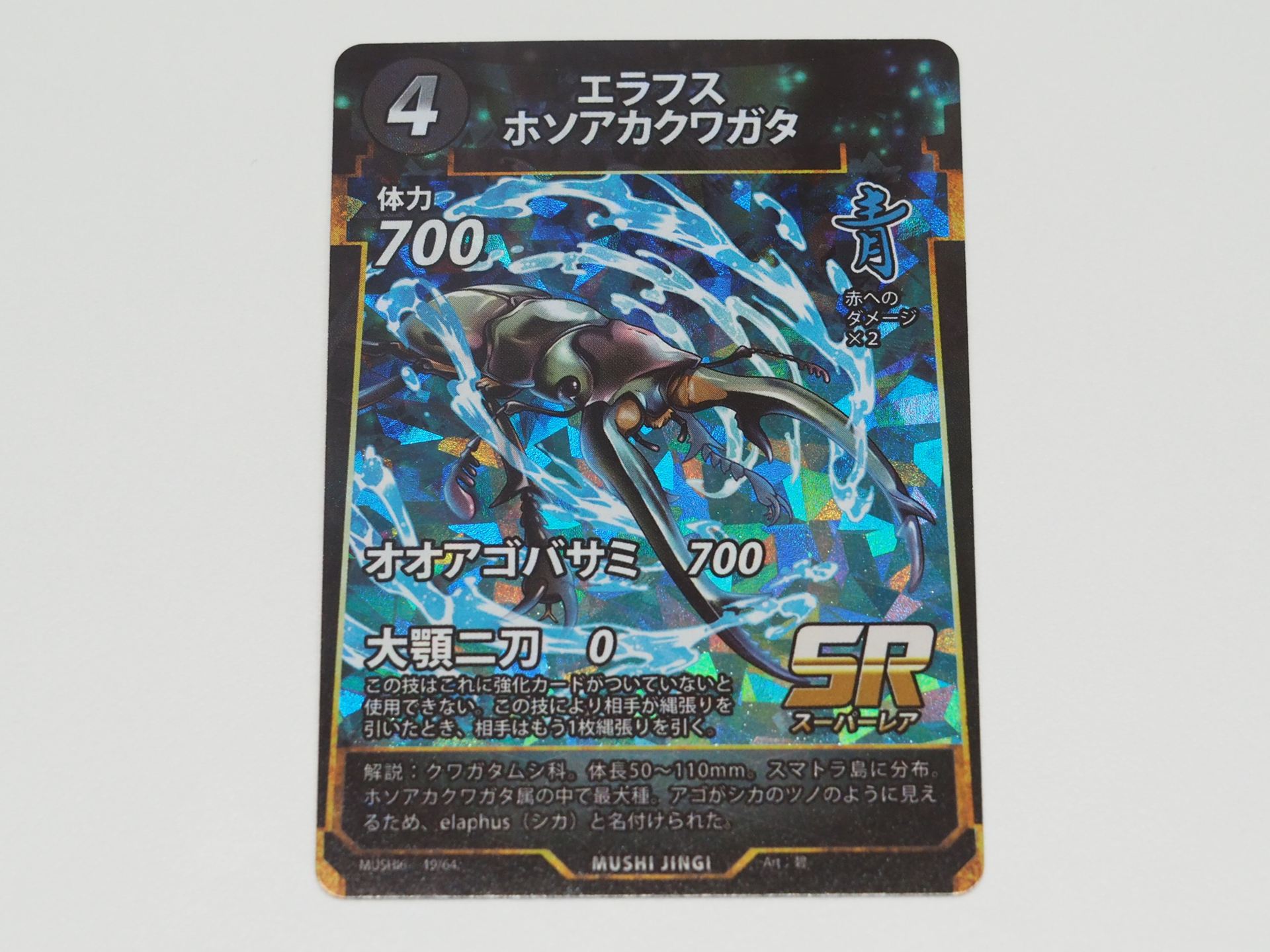 青4コストのSRカード「エラフスホソアカクワガタ」。強化カードが付いてるときのみ使える技「大顎二刀」を持つ。大顎二刀で、相手が縄張りを引いたとき、もう1枚縄張りを引く