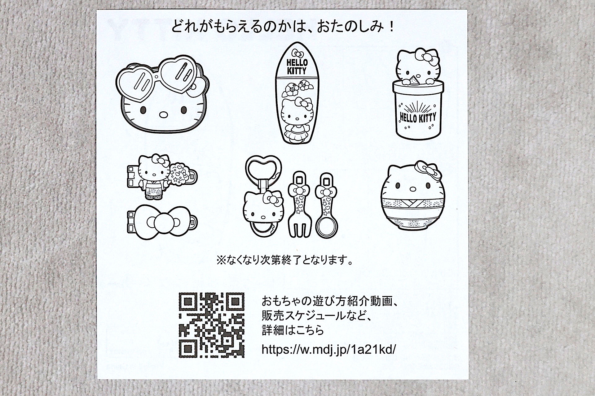 説明書の裏面はすべてのおもちゃに共通したものだ