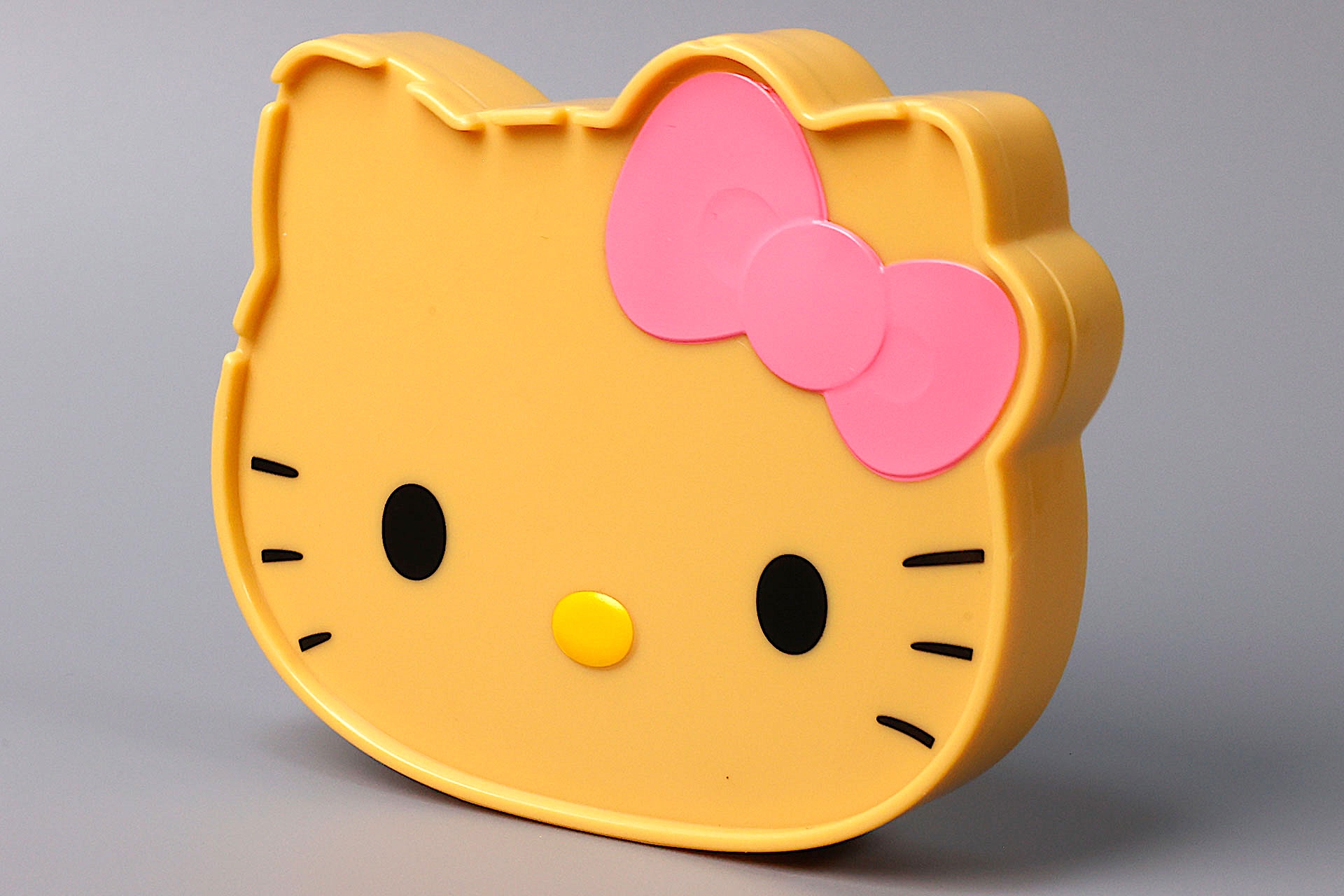 そこそこのサイズなので、持っているだけで目立ちそうだ