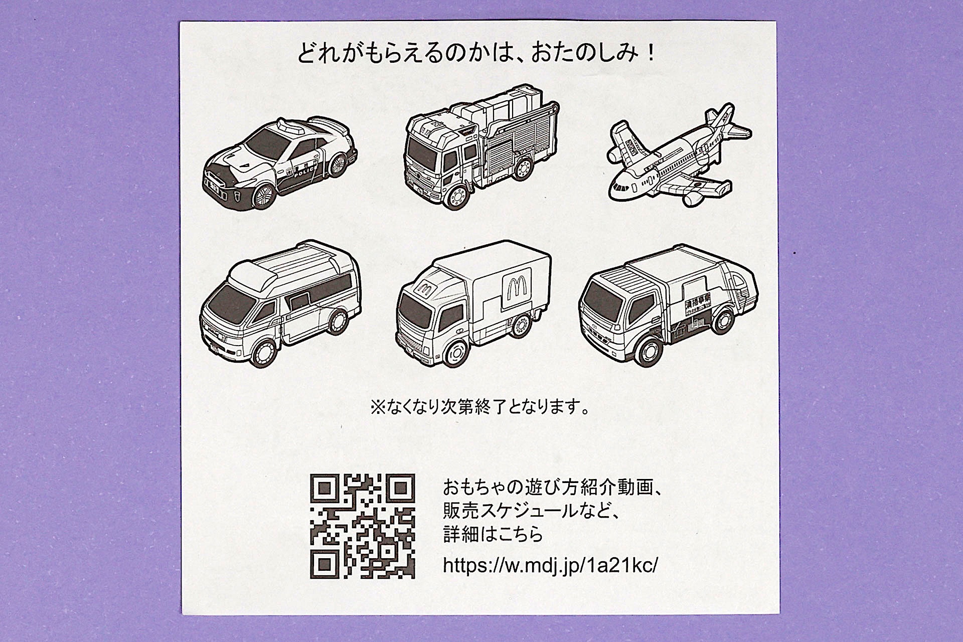 説明書の裏面はすべてのおもちゃに共通したものだ