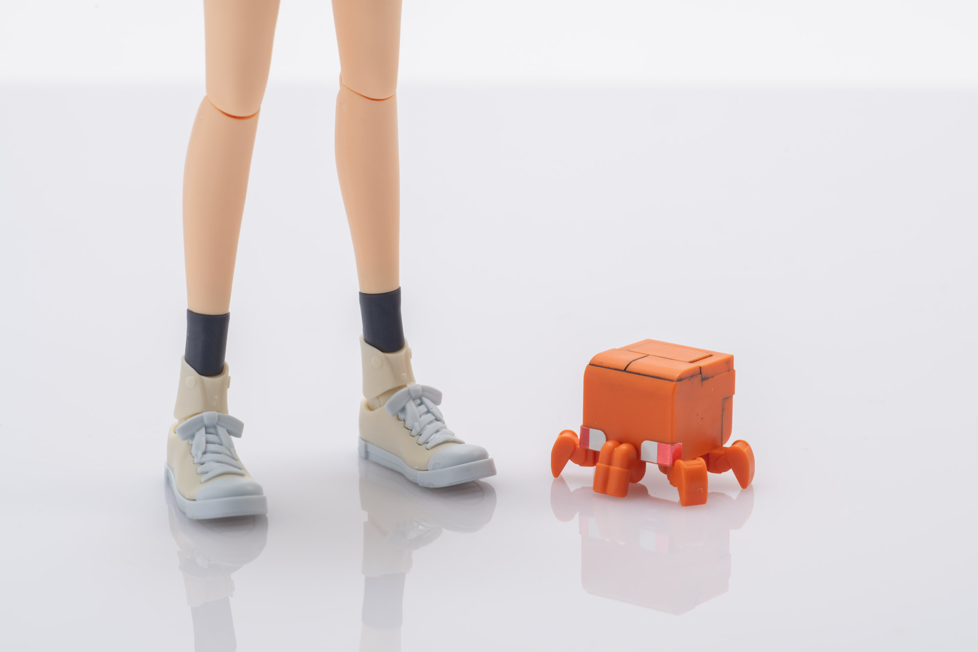 コンチのサイズ感が非常にかわいらしい。
