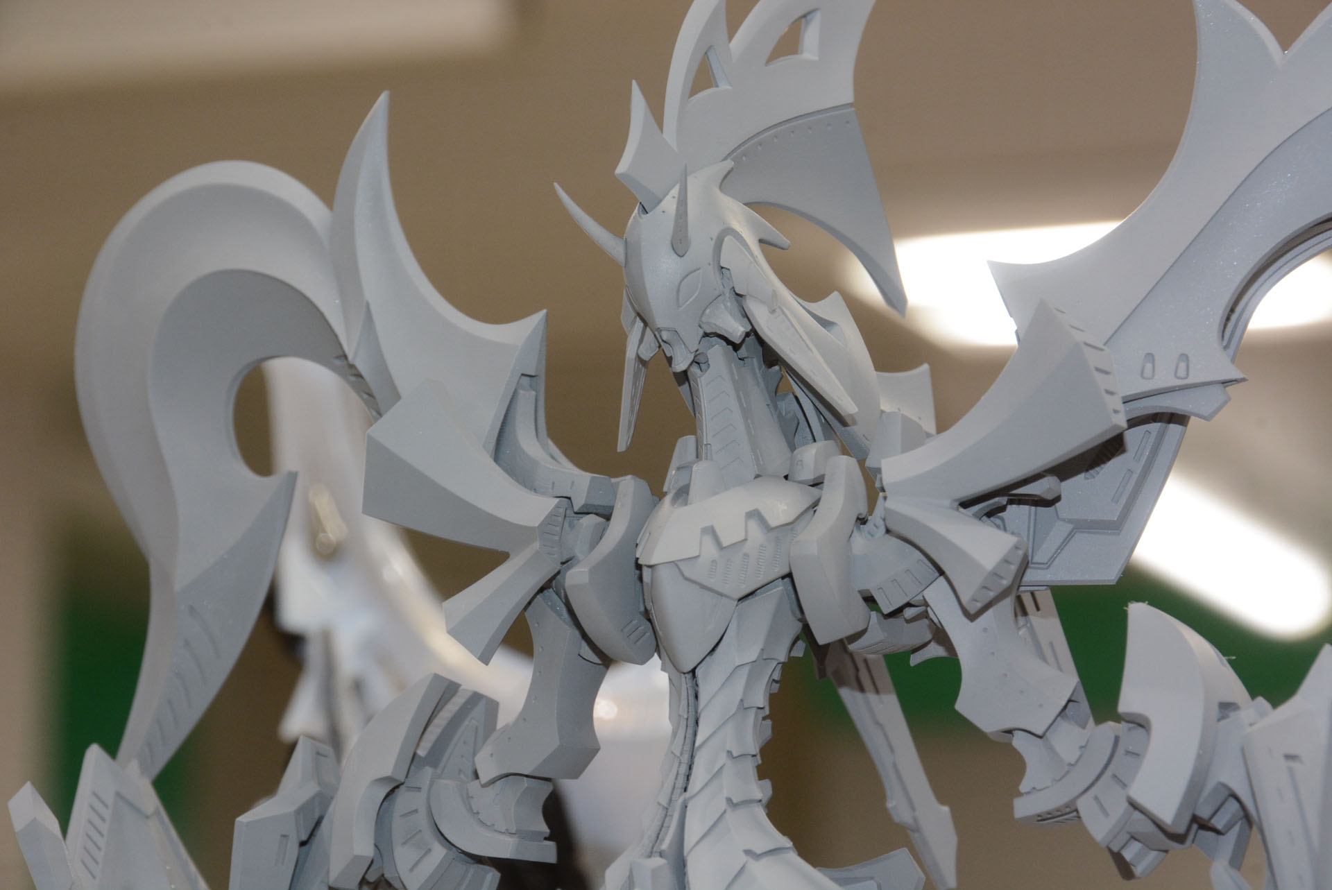 頭頂部の形状が異なる