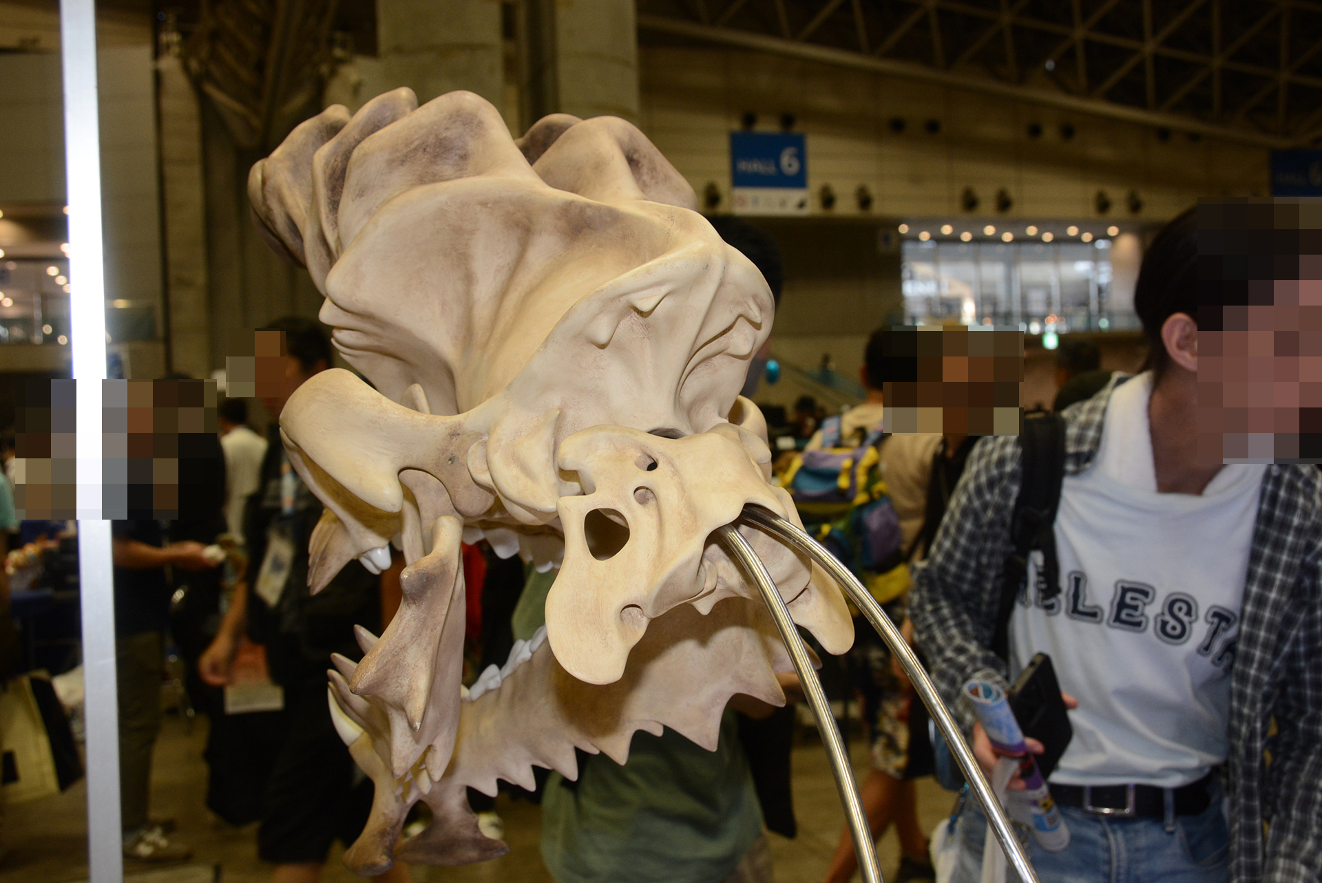 特に見てほしいという後ろからの頭骨。生物学の考証がしっかりなされているのだ