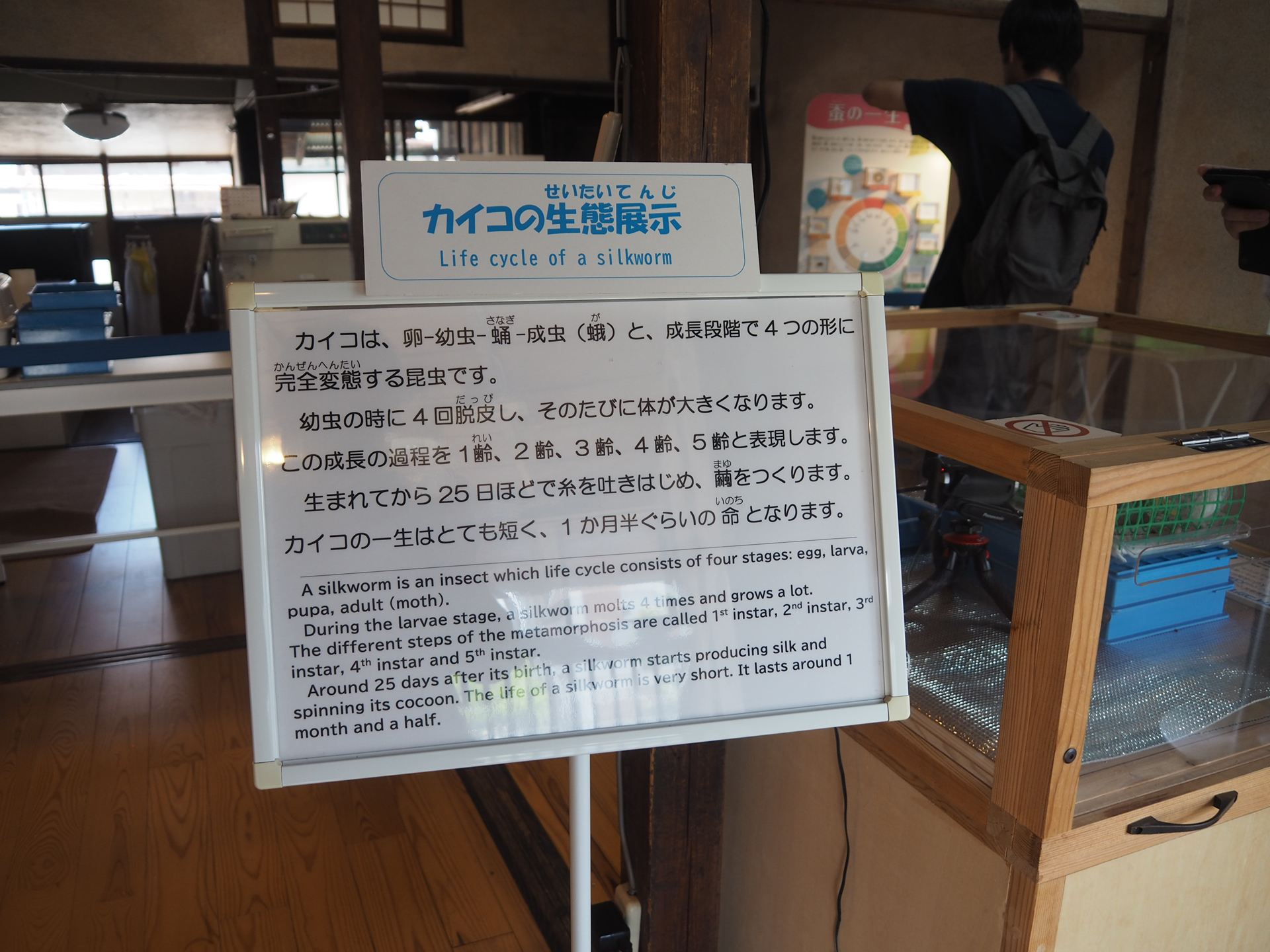 カイコの生態展示についての説明