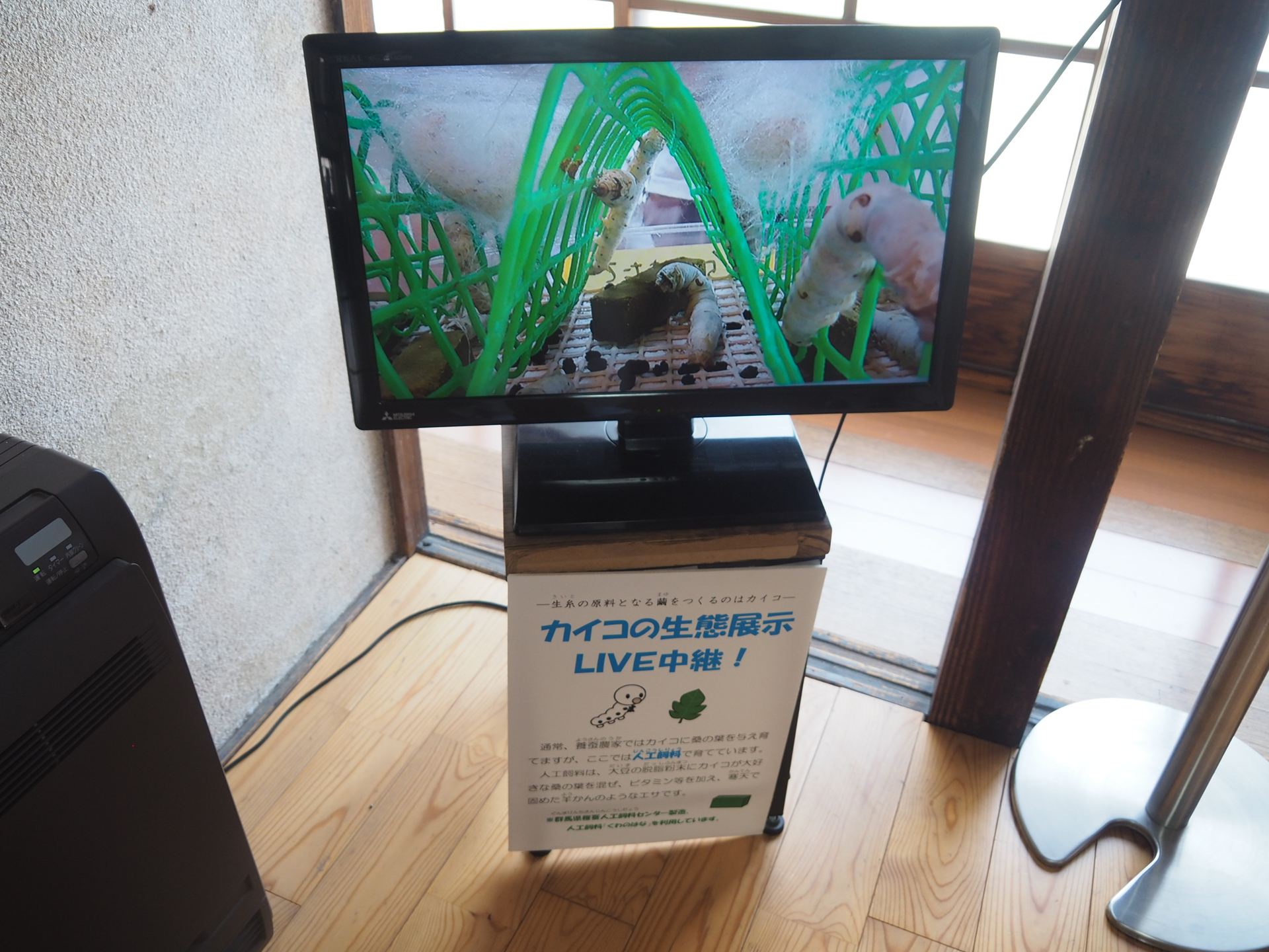 ビデオカメラで撮影した映像が映し出されている