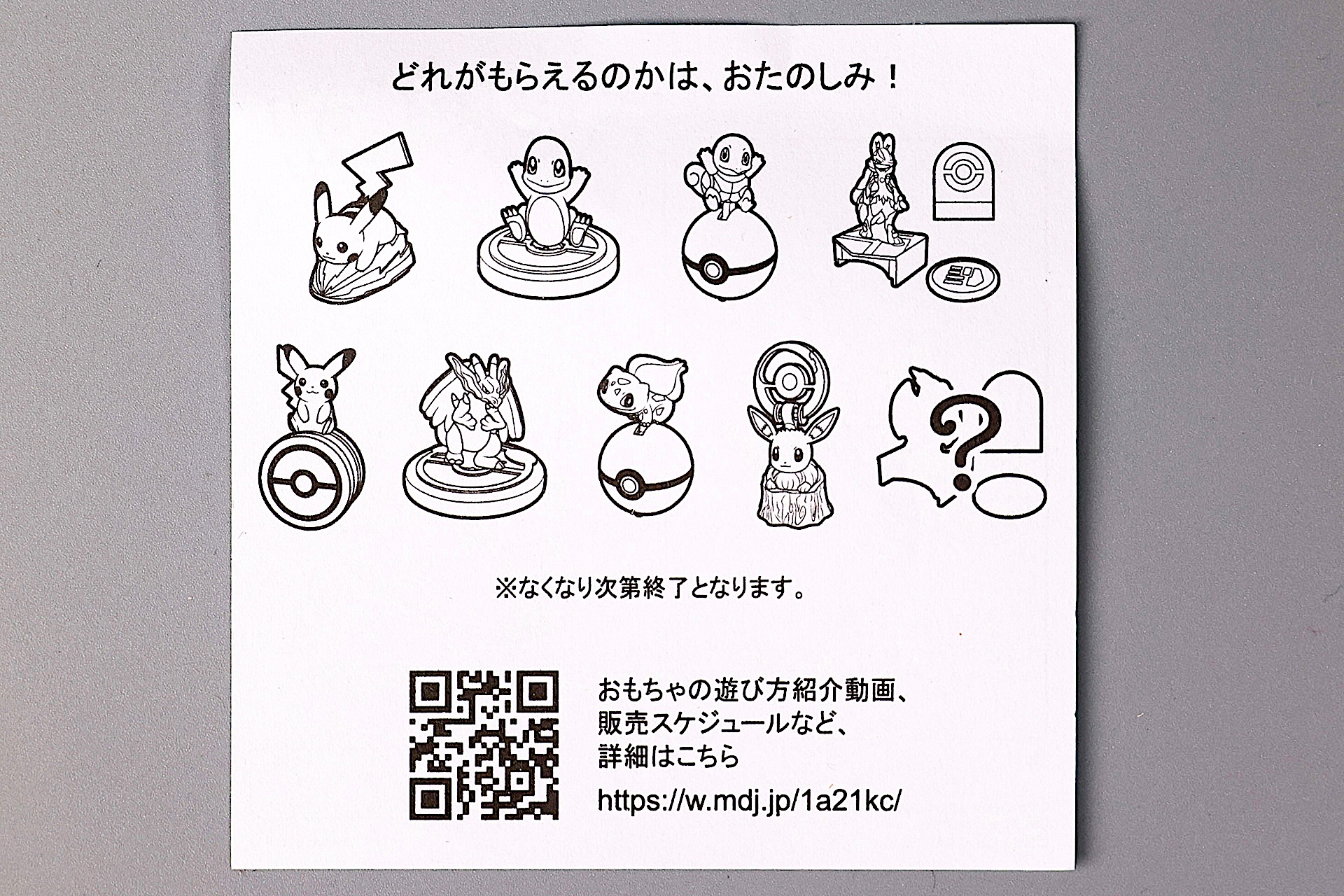 説明書の裏面は全部のおもちゃに共通したものだ