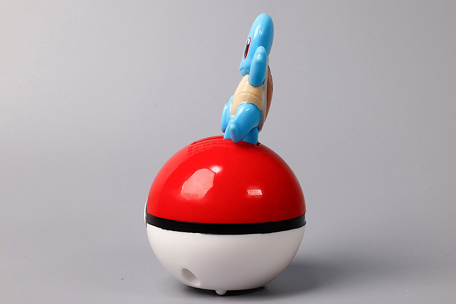 ゼニガメ部分は平らだ