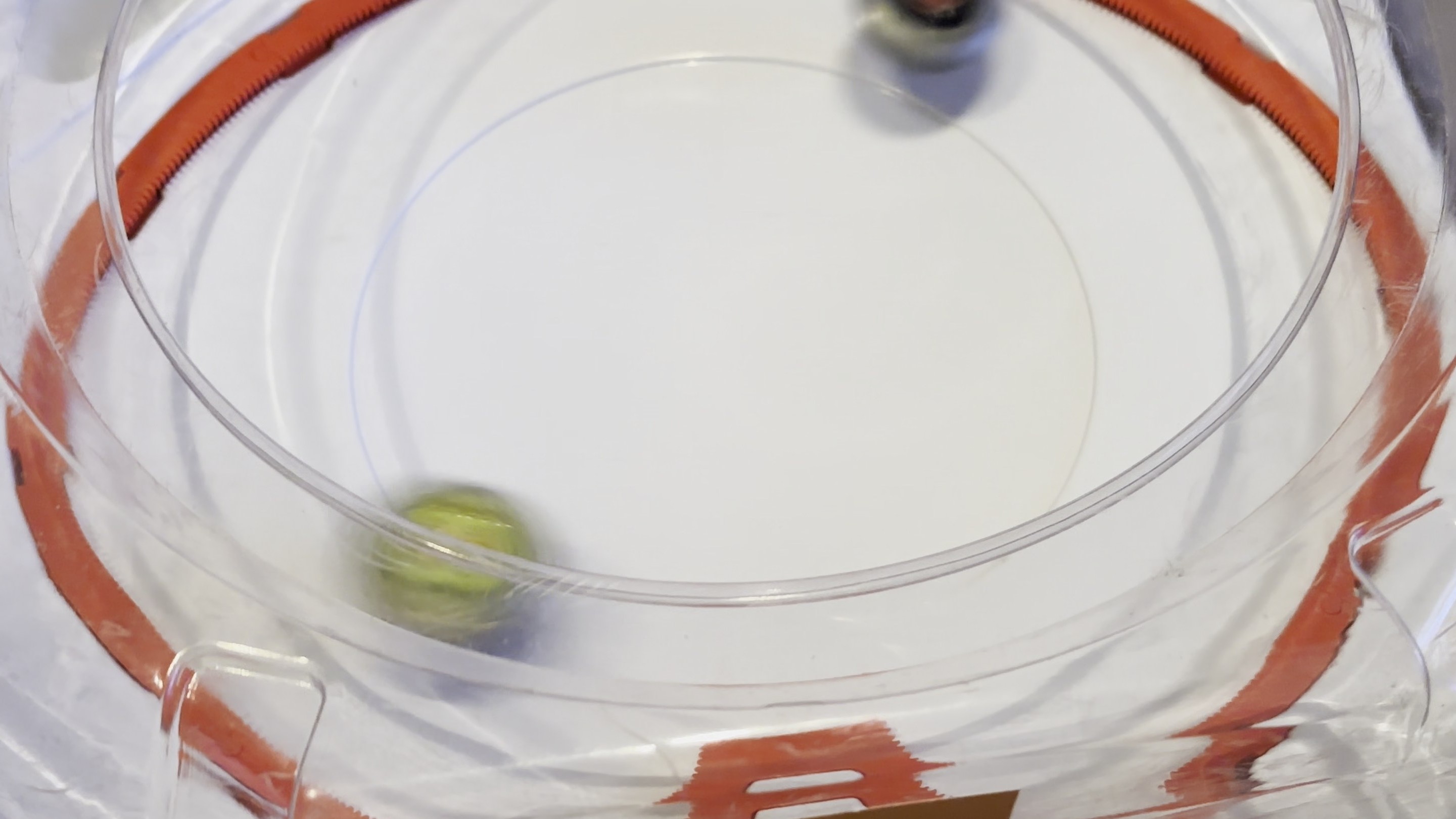 一方でいなし性能はまだ厳しく、攻撃を食らうとかなりの勢いで吹っ飛ばされてしまう。いなし性能の高いアシストブレードなどを色々と試していきたい