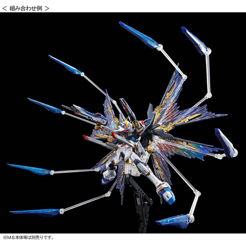 RG デスティニーガンダム チタニウムフィニッシュ SEED ガンプラ 限定 RG 1/144 デスティニーガンダム［チタニウムフィニッシュ