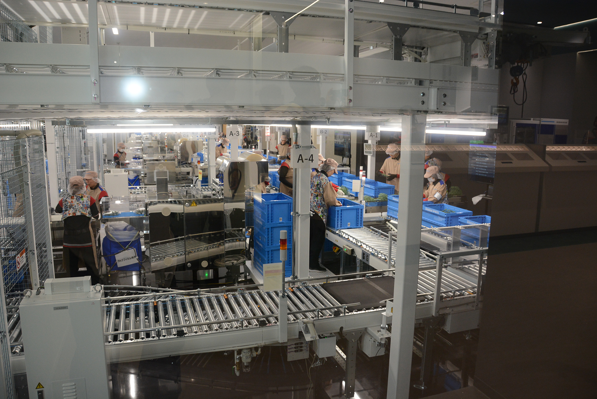 ミュージアム見学では実際の工場内には入れないが、いくつかの部屋がガラス張りになっていて、実際の工場での作業風景を見ることができる。