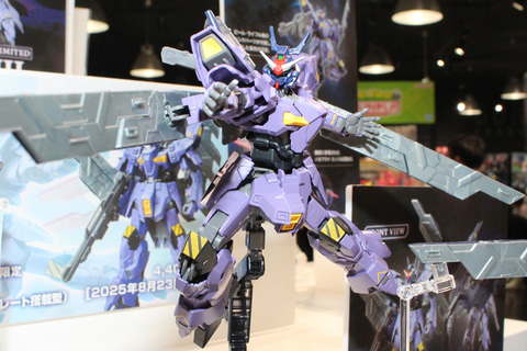 特別企画】ガンダムヘッドとサイコプレートを装着したバルギルが