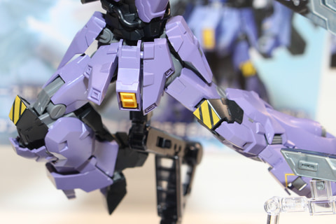特別企画】ガンダムヘッドとサイコプレートを装着したバルギルが限定